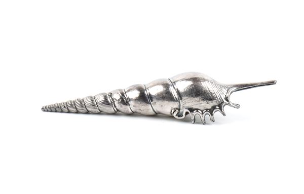 Natural Marine Shell Mounted in Silver