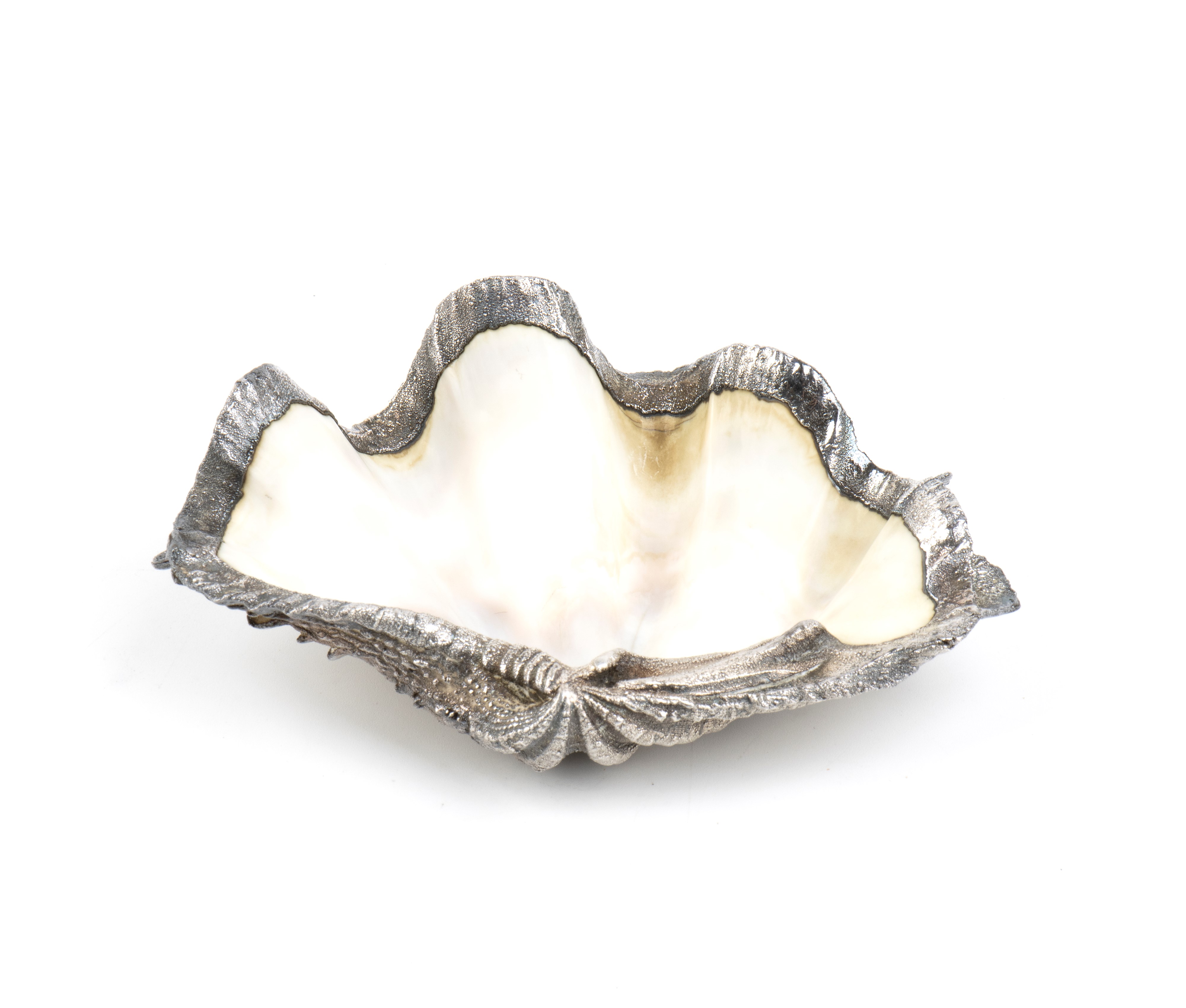 Federico Buccellati - Conchiglia marina montata in argento