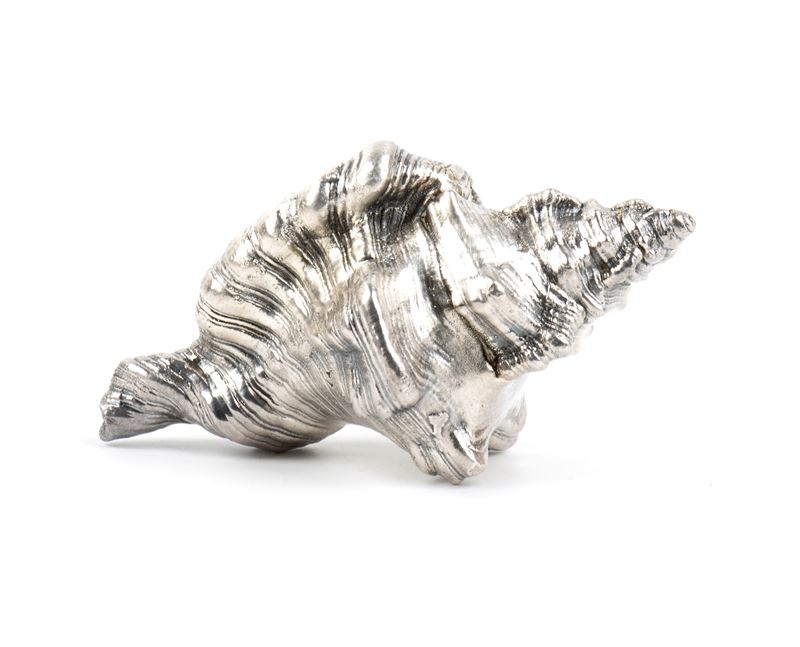 Federico Buccellati - Conchiglia marina montata in argento 999/1000