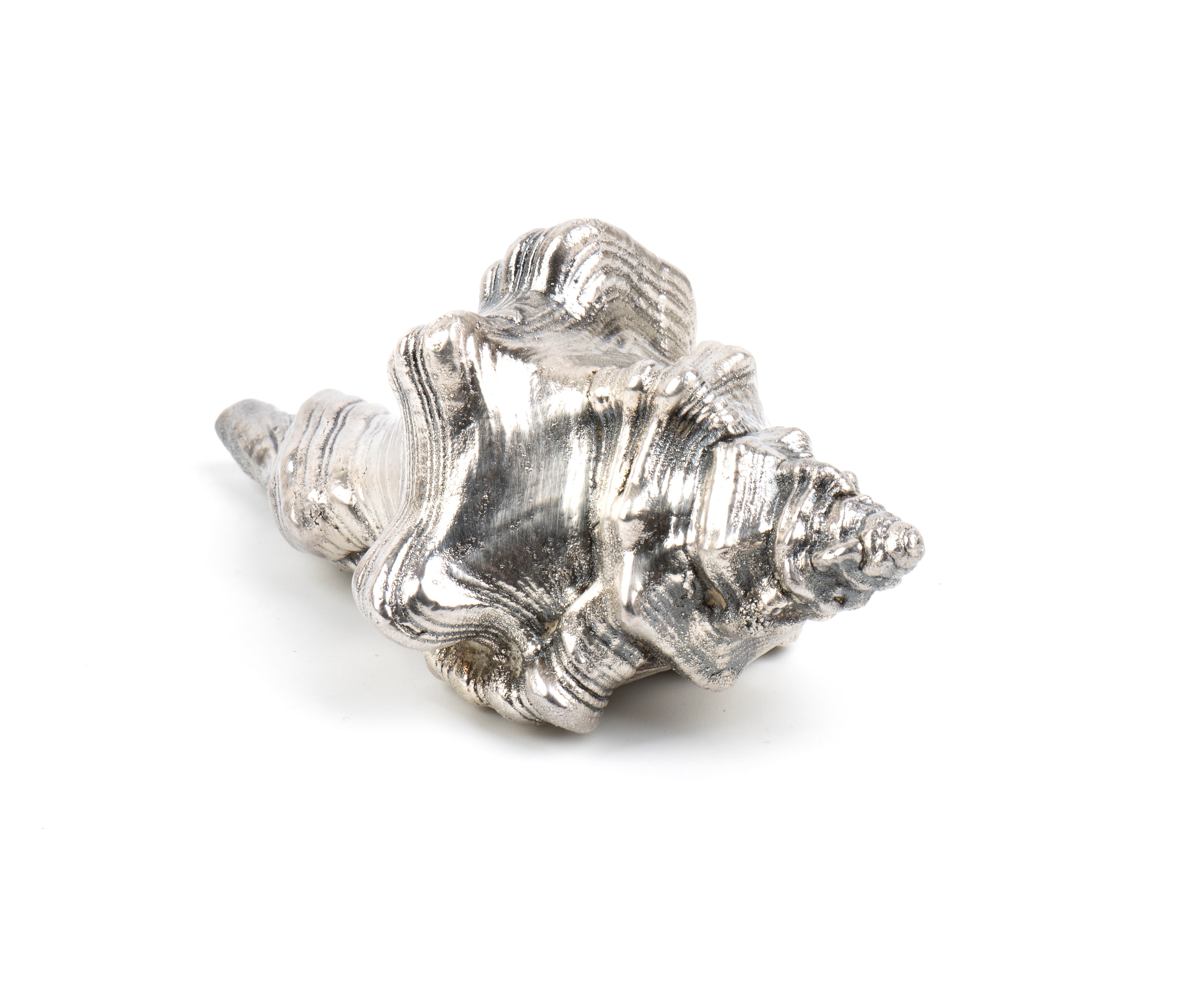 Federico Buccellati - Conchiglia marina montata in argento 999/1000