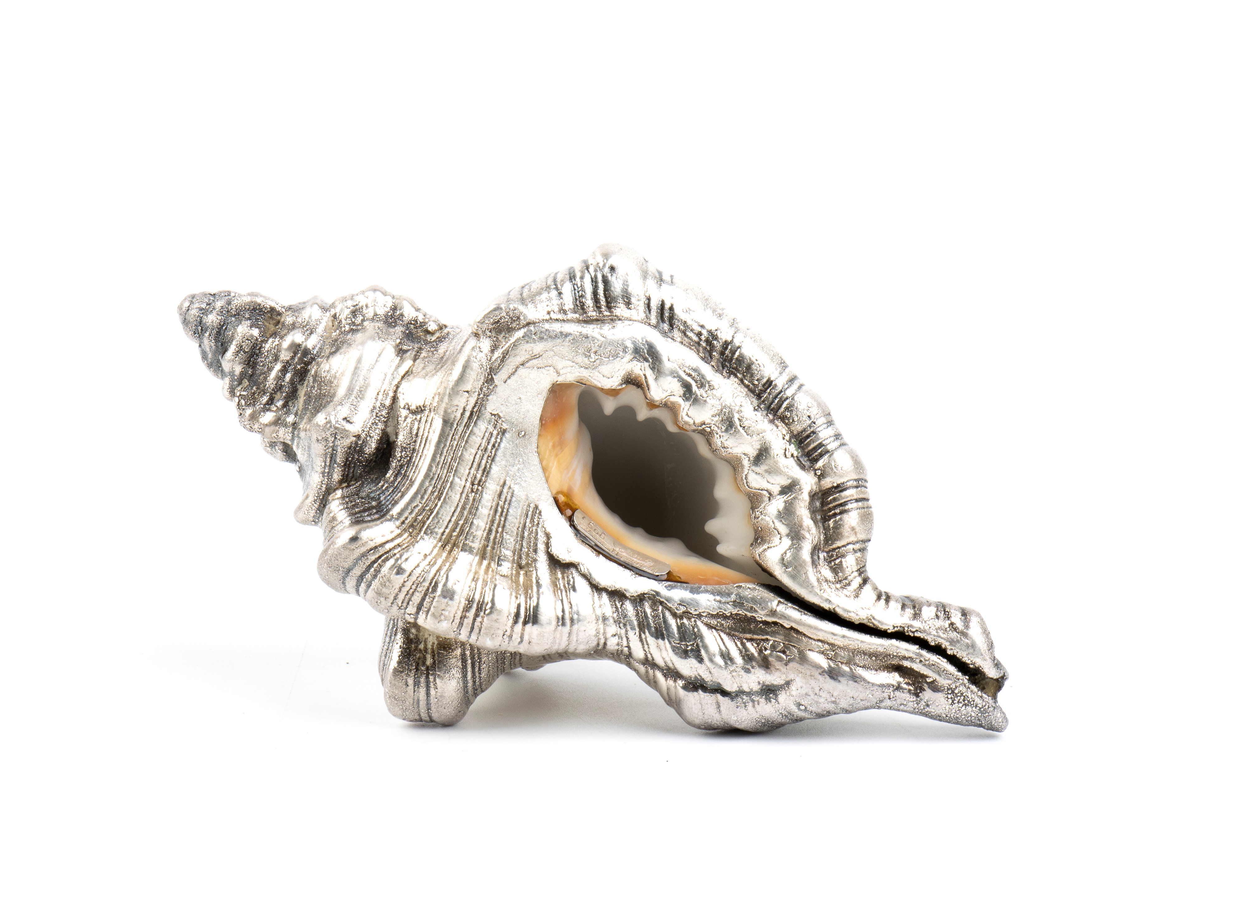 Federico Buccellati - Conchiglia marina montata in argento 999/1000