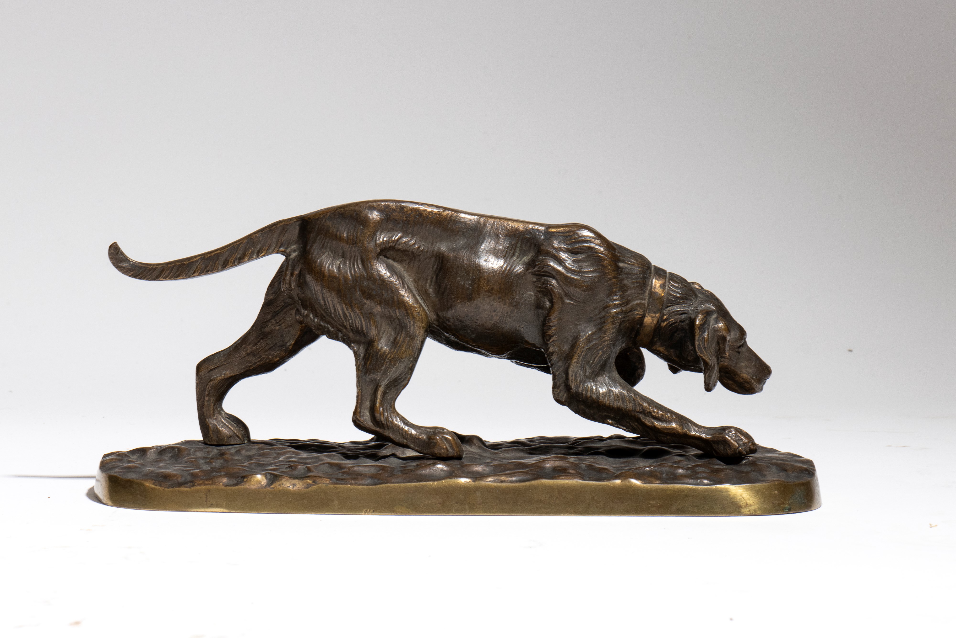 Scultura in bronzo, cane da caccia (setter), Italia, XX secolo