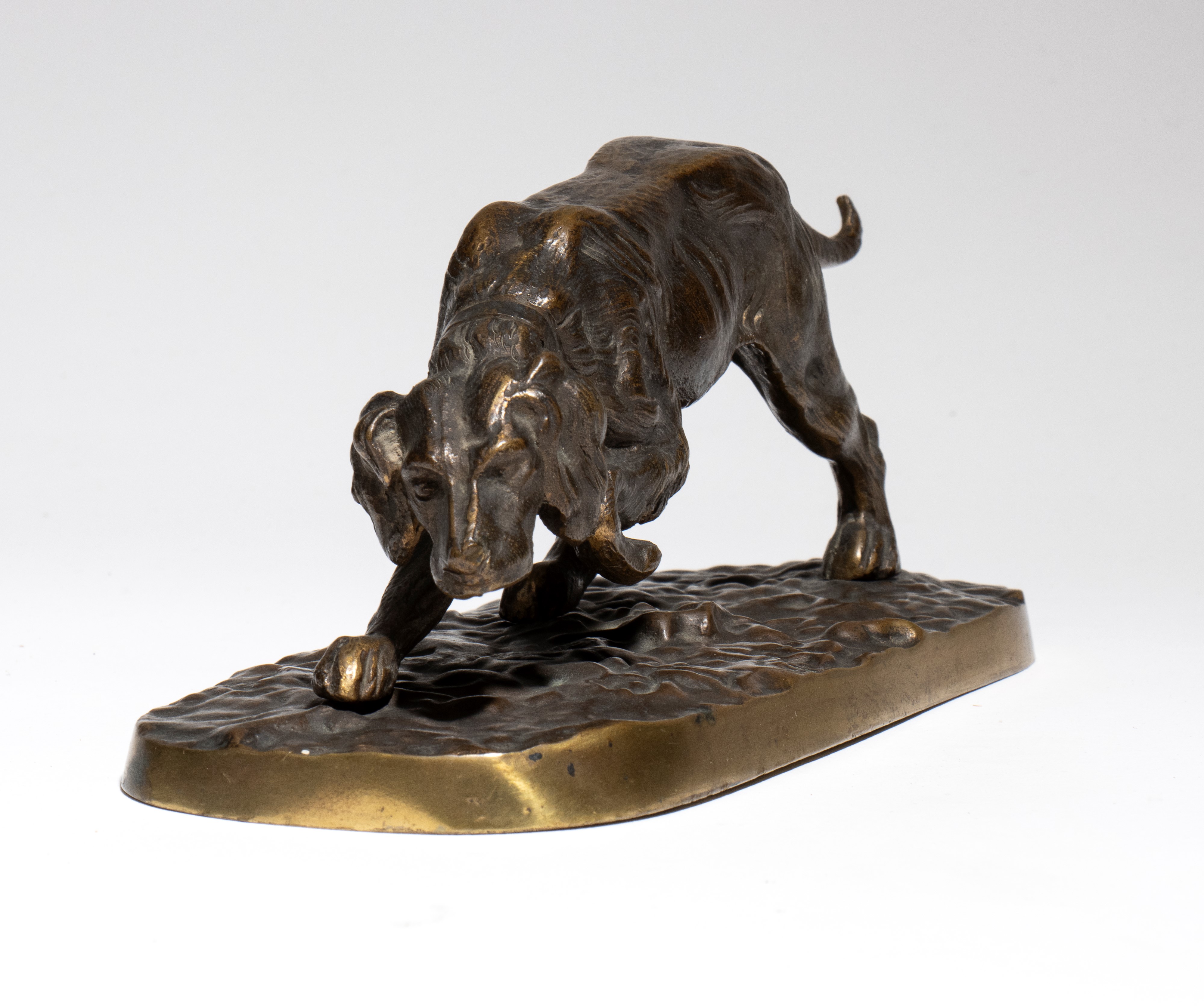 Scultura in bronzo, cane da caccia (setter), Italia, XX secolo