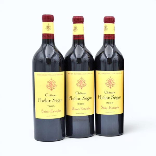 Saint-Estèphe Château Phélan Ségur  2005 3 Bot