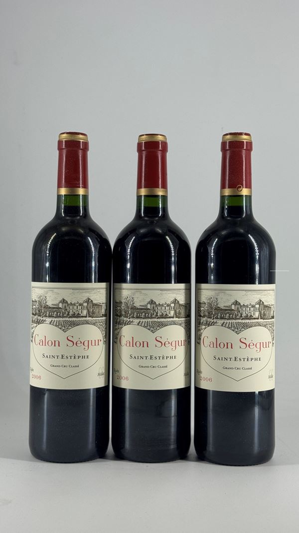 Saint-Estèphe Château Calon Ségur  2006 3 Bot