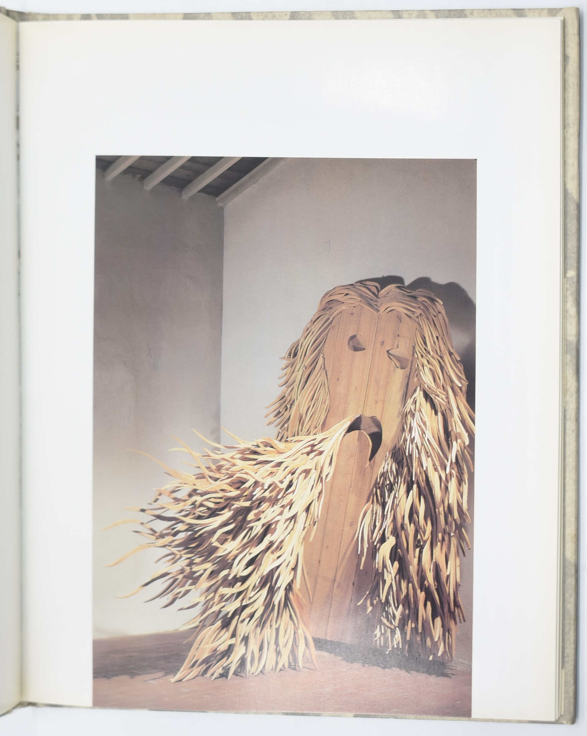 Mario Ceroli e Gualverio Michelangeli, volumi monografici (1981-1990)