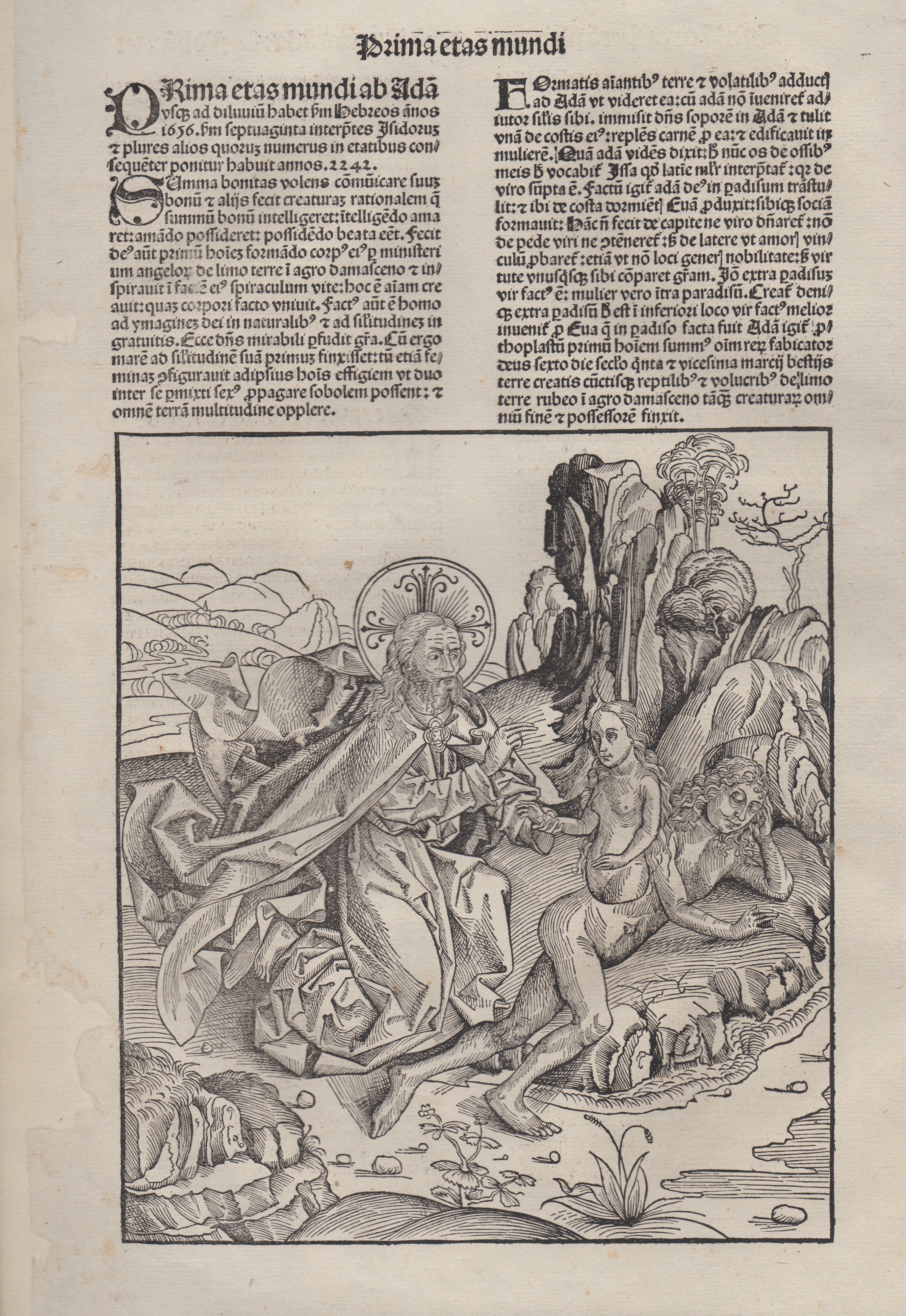Albrecht Dürer - Creazione di Eva, da Liber Chronicarum (xilografia)