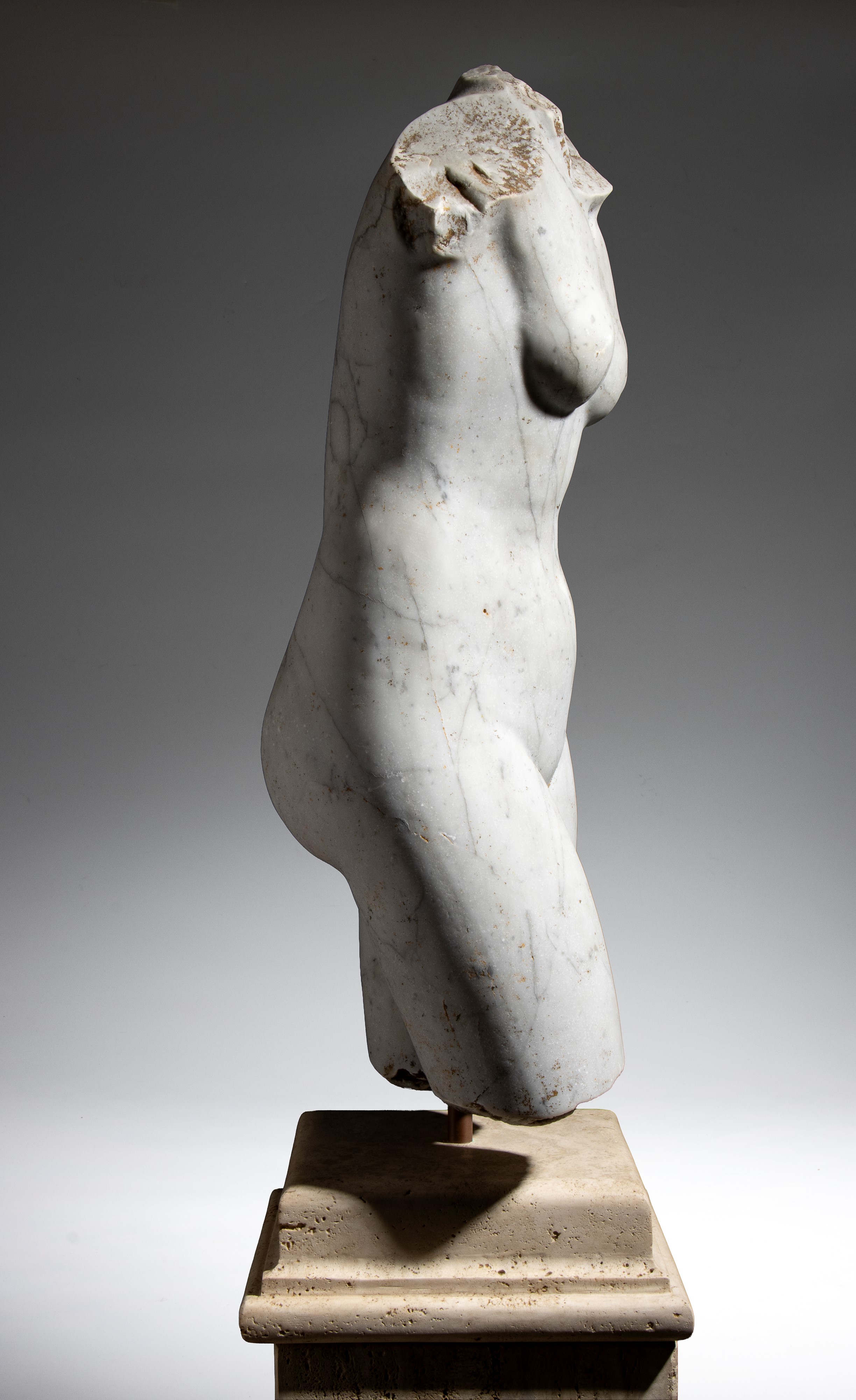 Torso di Venere, marmo, XIX secolo