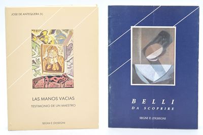 Segni e (Di)segni, Segni e (Di)segni: due volumi (cataloghi illustrati)