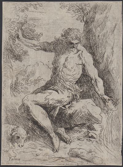 Palma il Giovane, San Giovanni Battista nel deserto (acquaforte)