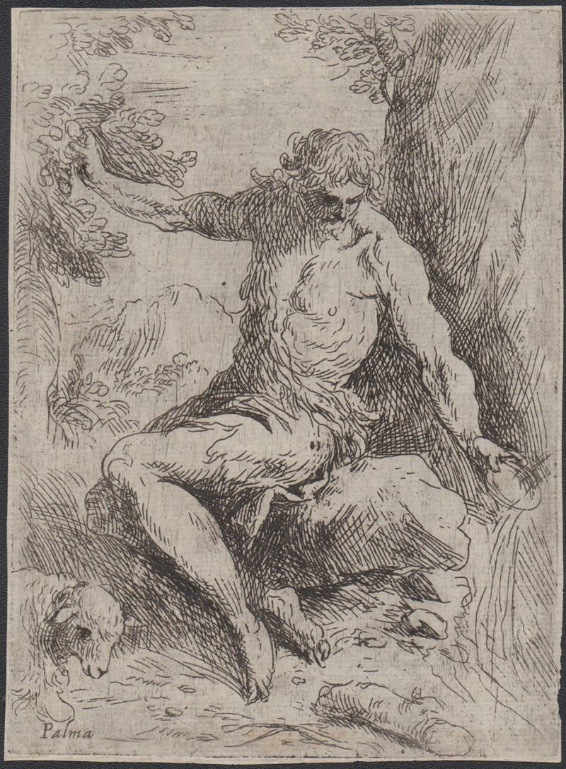 Jacopo Negretti Detto Palma il Giovane - Palma il Giovane, San Giovanni Battista nel deserto (acq...