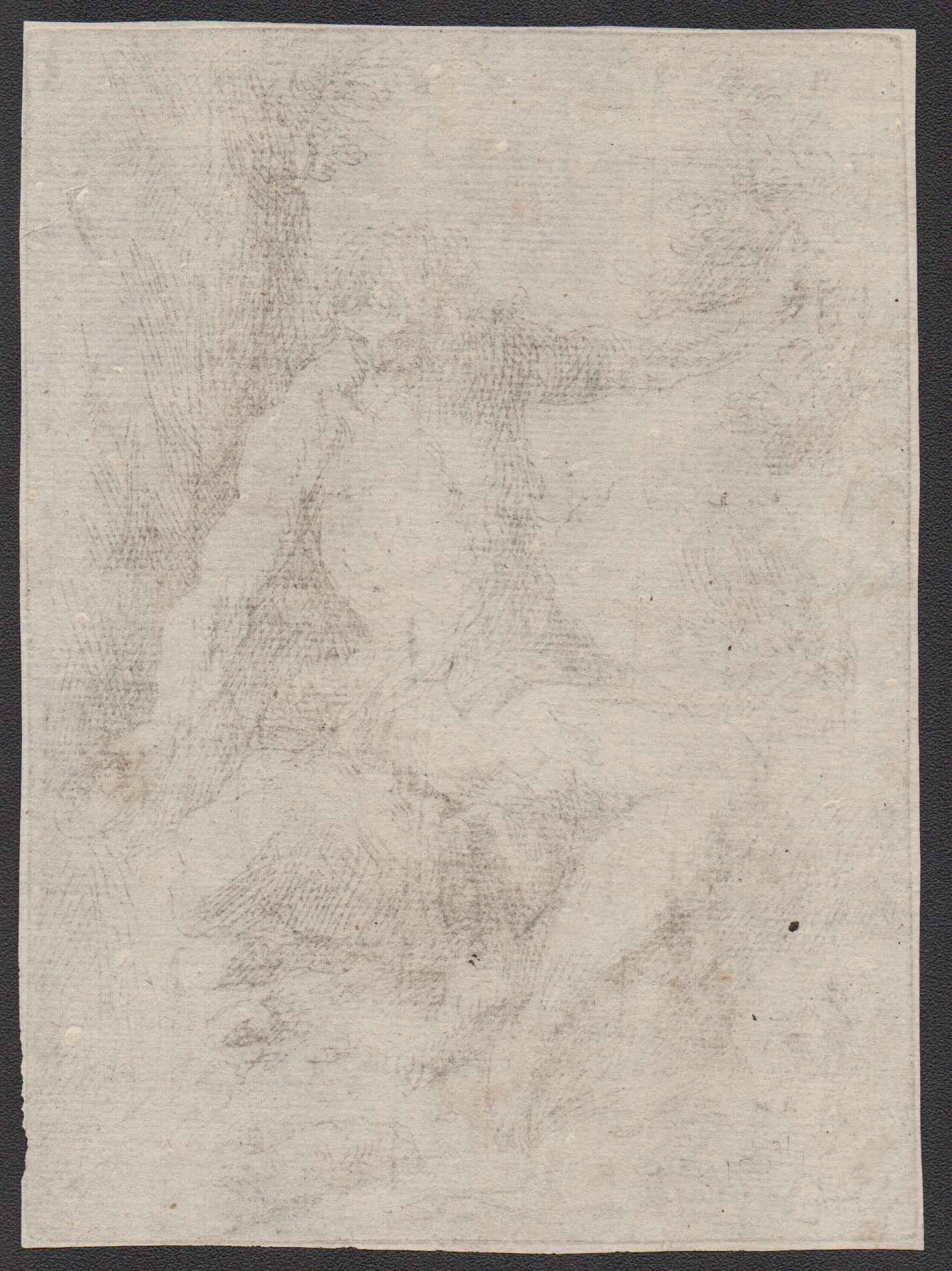 Jacopo Negretti Detto Palma il Giovane - Palma il Giovane, San Giovanni Battista nel deserto (acq...