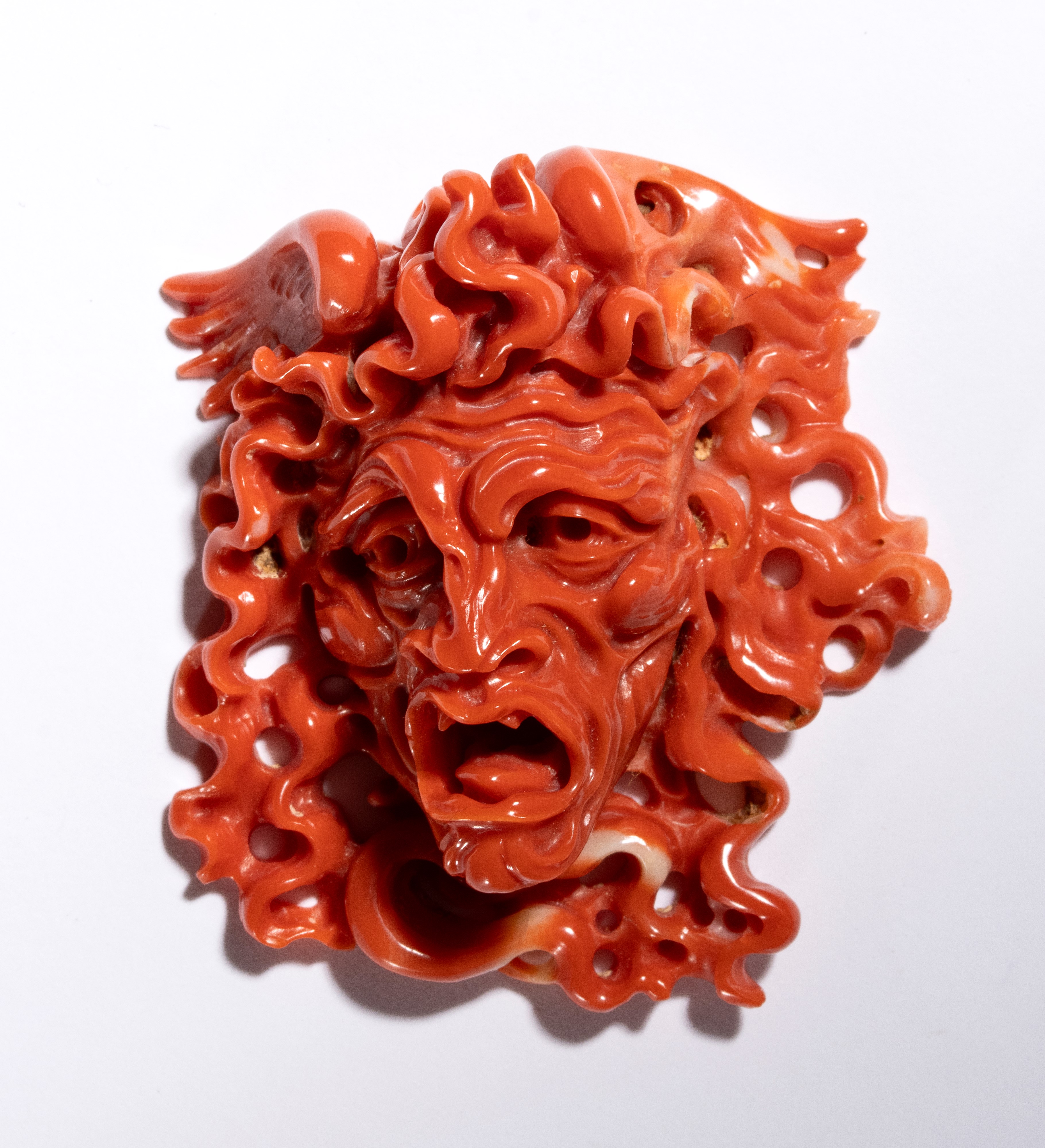Carlo Parlati - Testa della Medusa in corallo Cerasuolo (Corallium elatius)