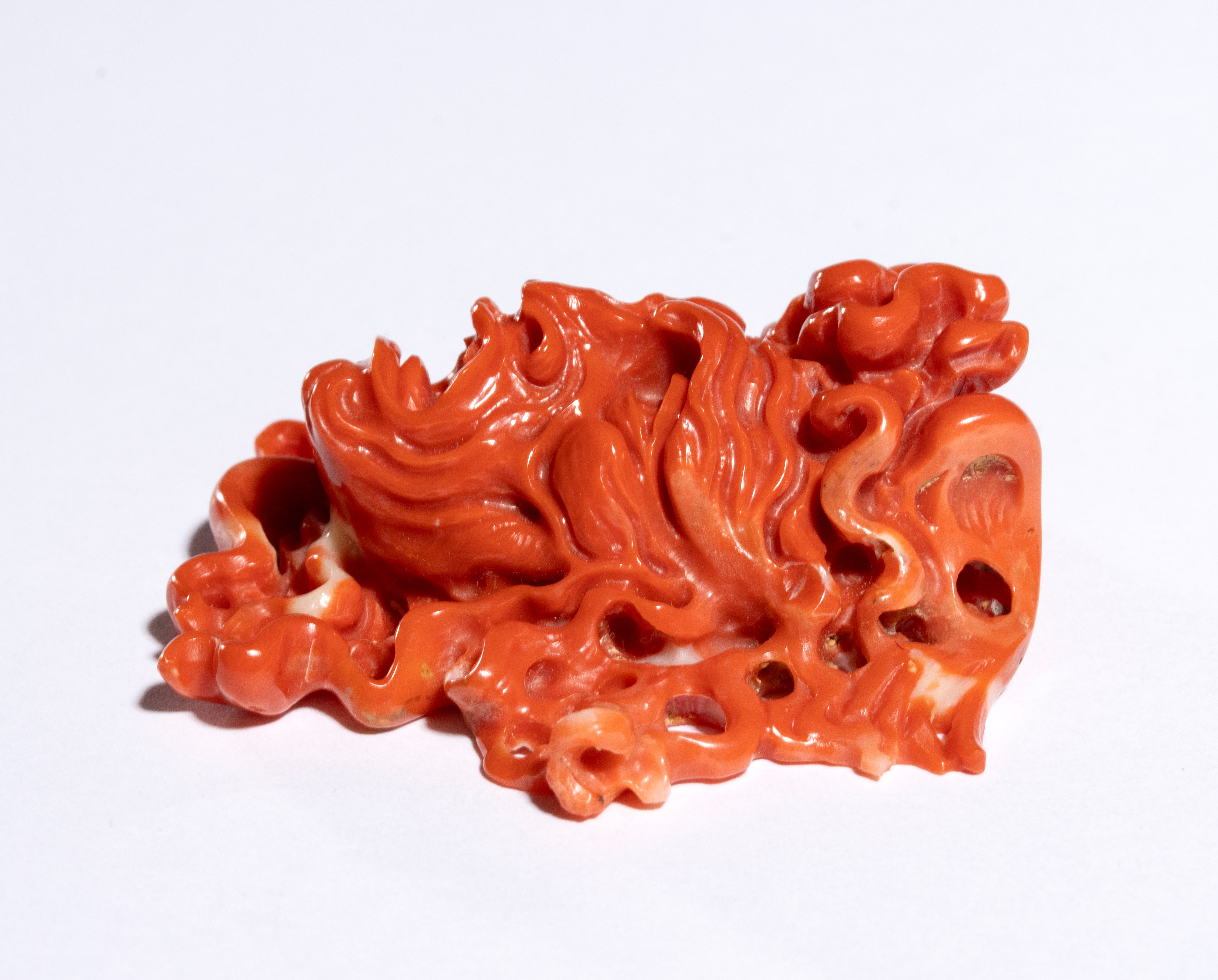 Carlo Parlati - Testa della Medusa in corallo Cerasuolo (Corallium elatius)