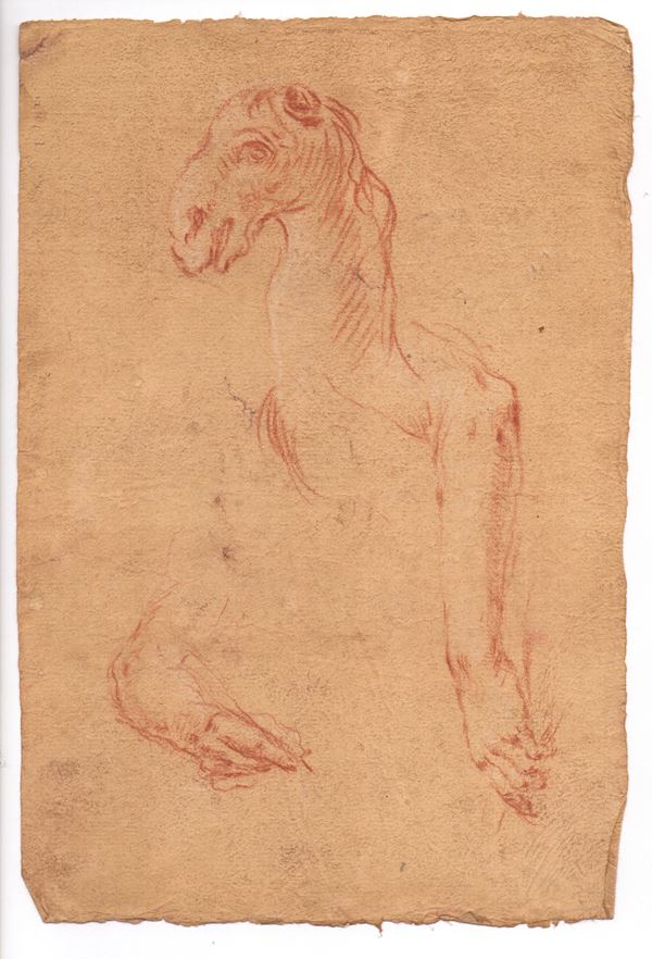 Study of a Camel’s Head and Two Hands