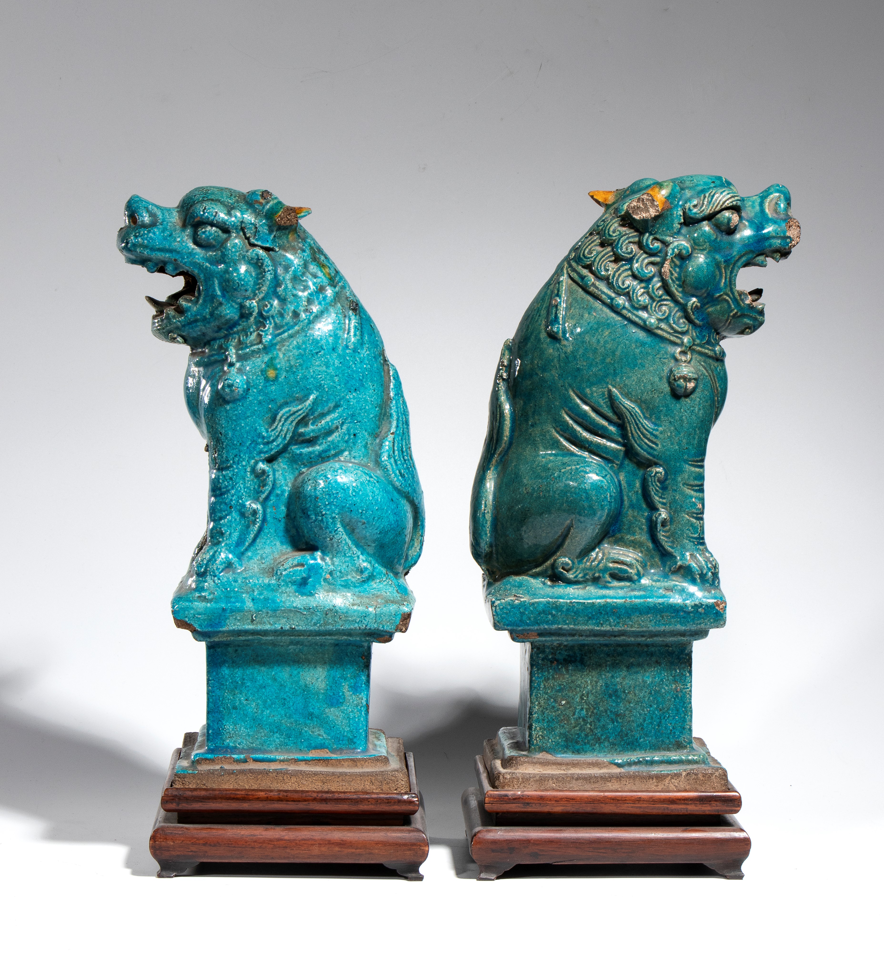 Cina, dinastia Ming (XVII secolo), Grande coppia di cani Fo in ceramica smaltata turchese