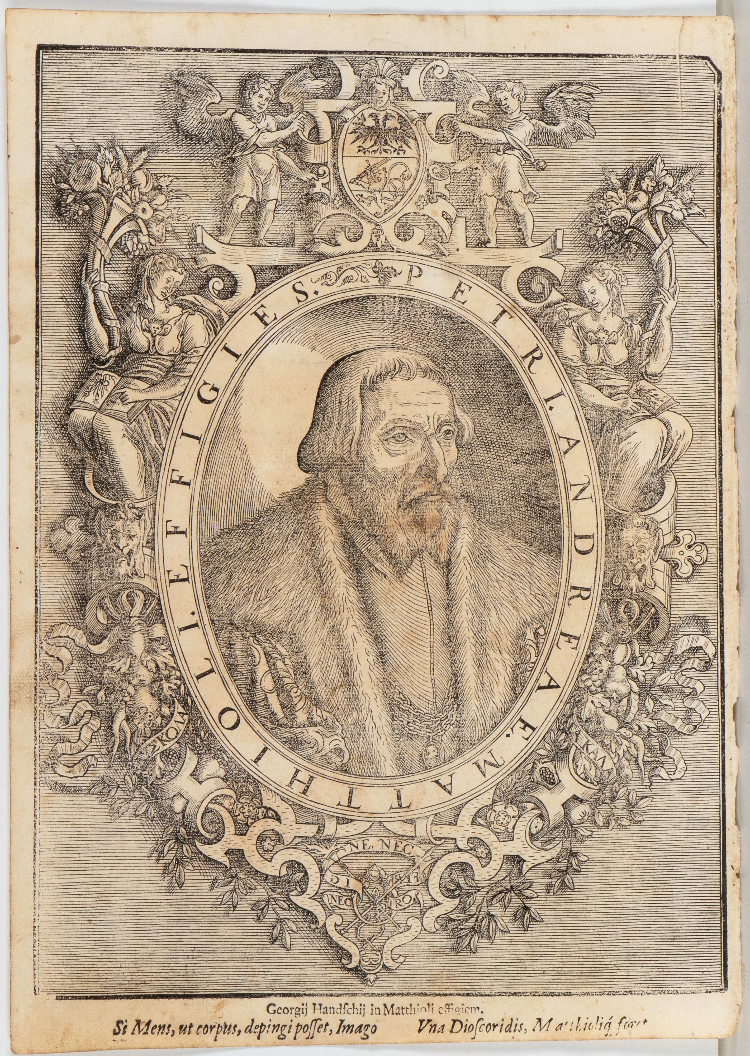 Pietro Andrea Mattioli - Commentarii in sex libros Pedacii Dioscoridis — serie di 56 tavole a inc...