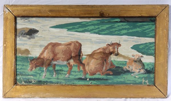 Cows grazing