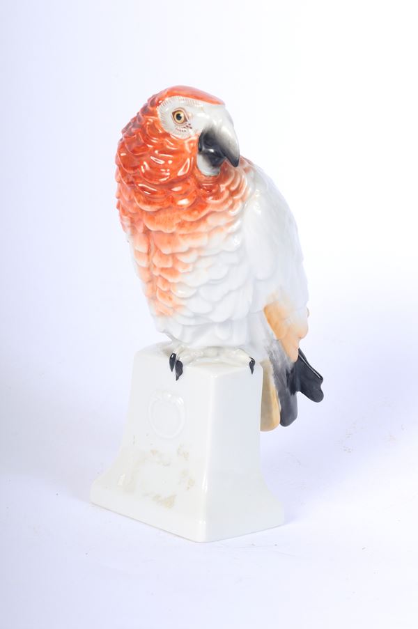 Polychrome porcelain red-breasted grey parrot