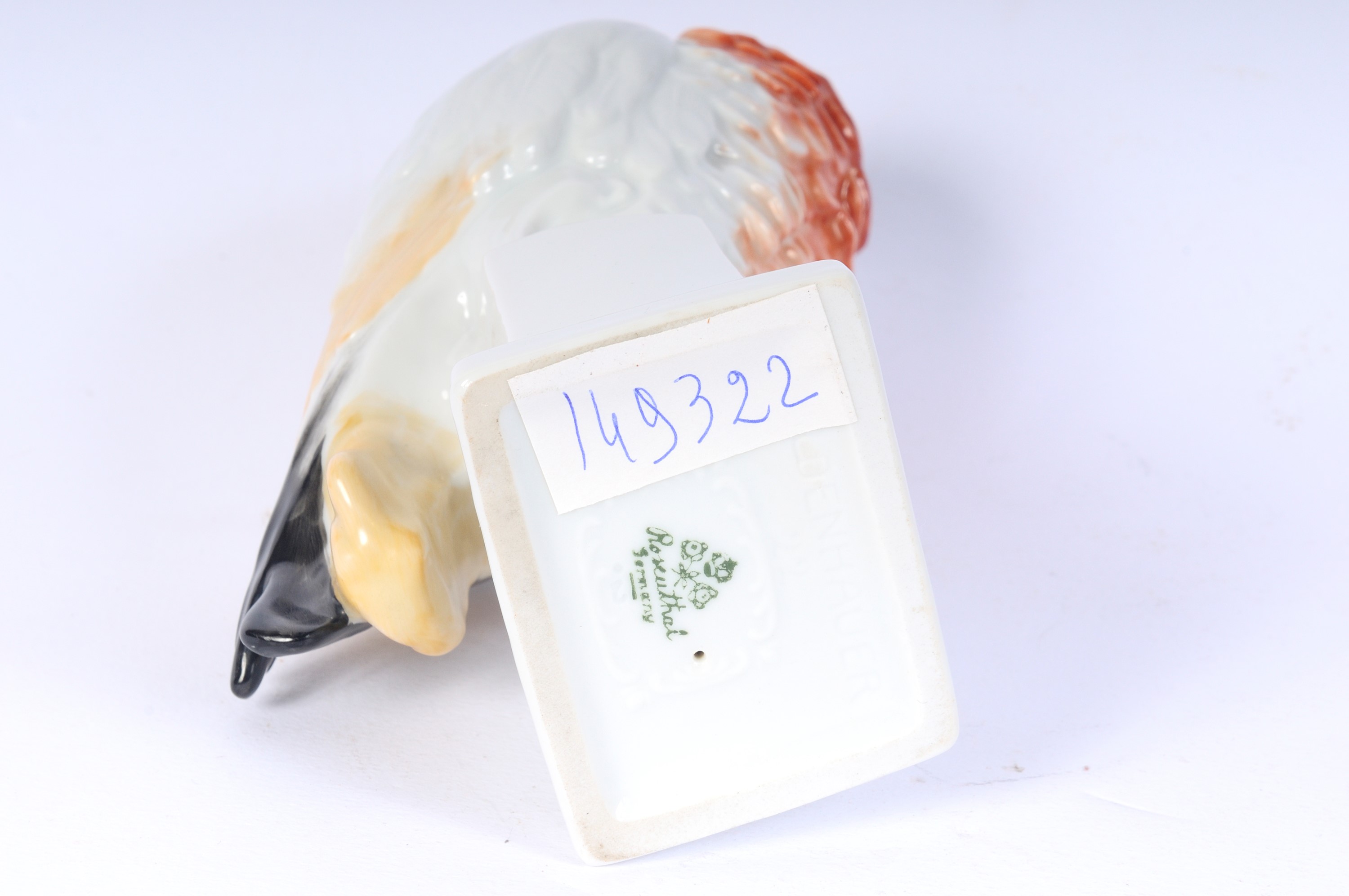 Pappagallo Cinerino a Petto Rosso in Porcellana Policroma