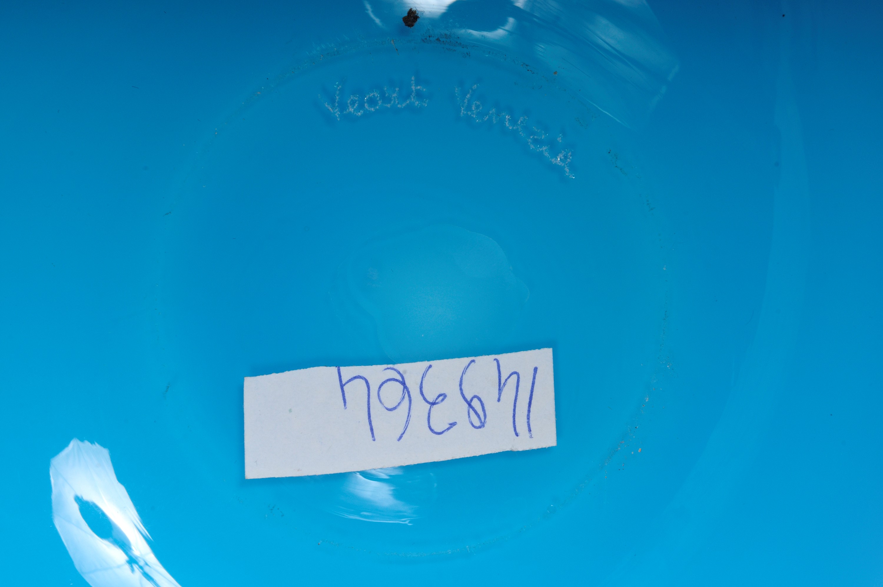 Veart, Vaso in Vetro Incamiciato