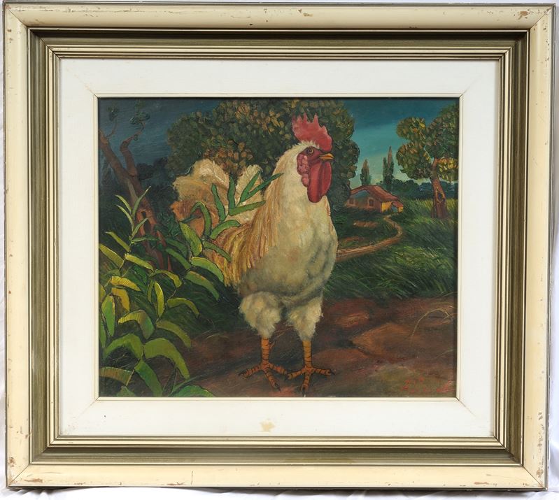 "gallo"