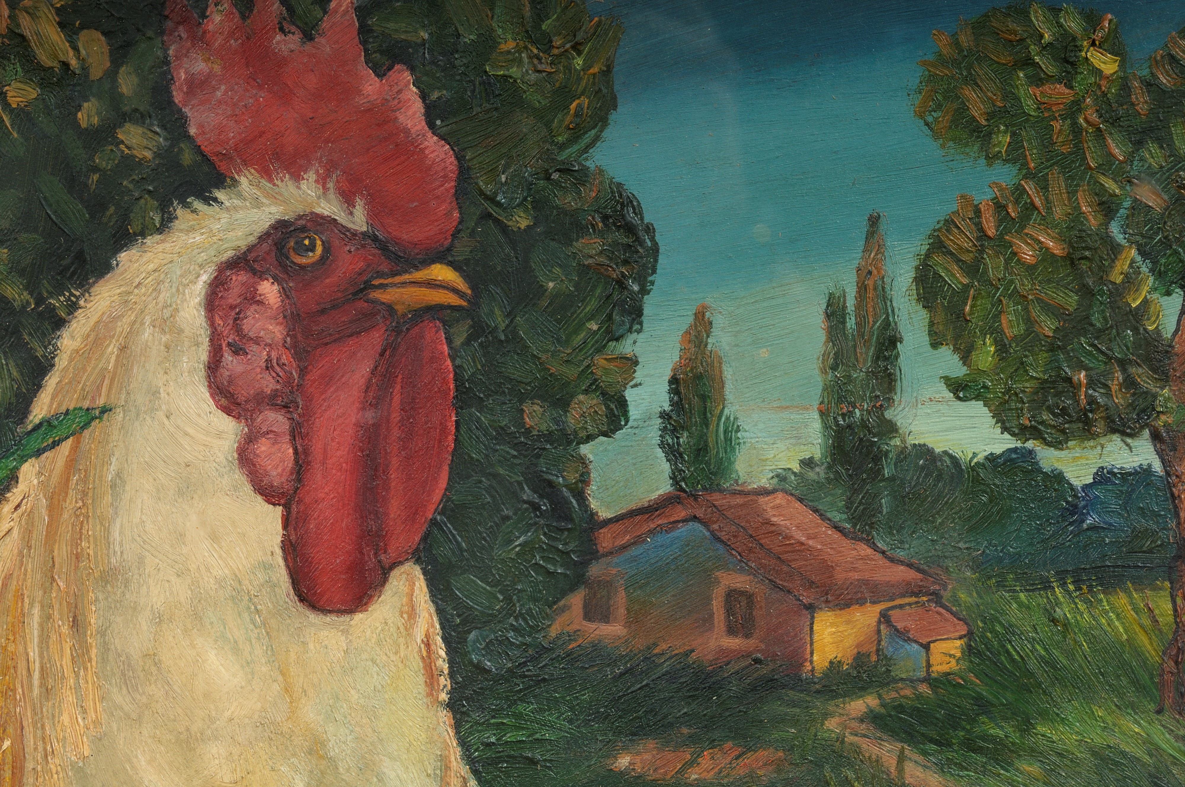 "gallo"