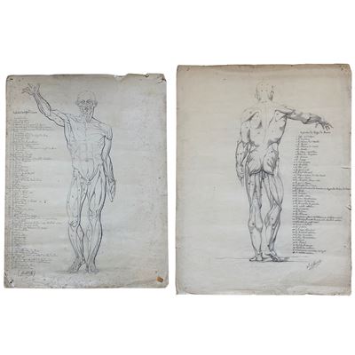 Artista francese del XIX secolo, Scorticati