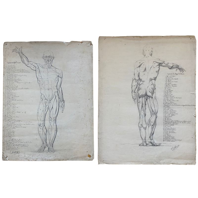 Artista francese del XIX secolo, Scorticati