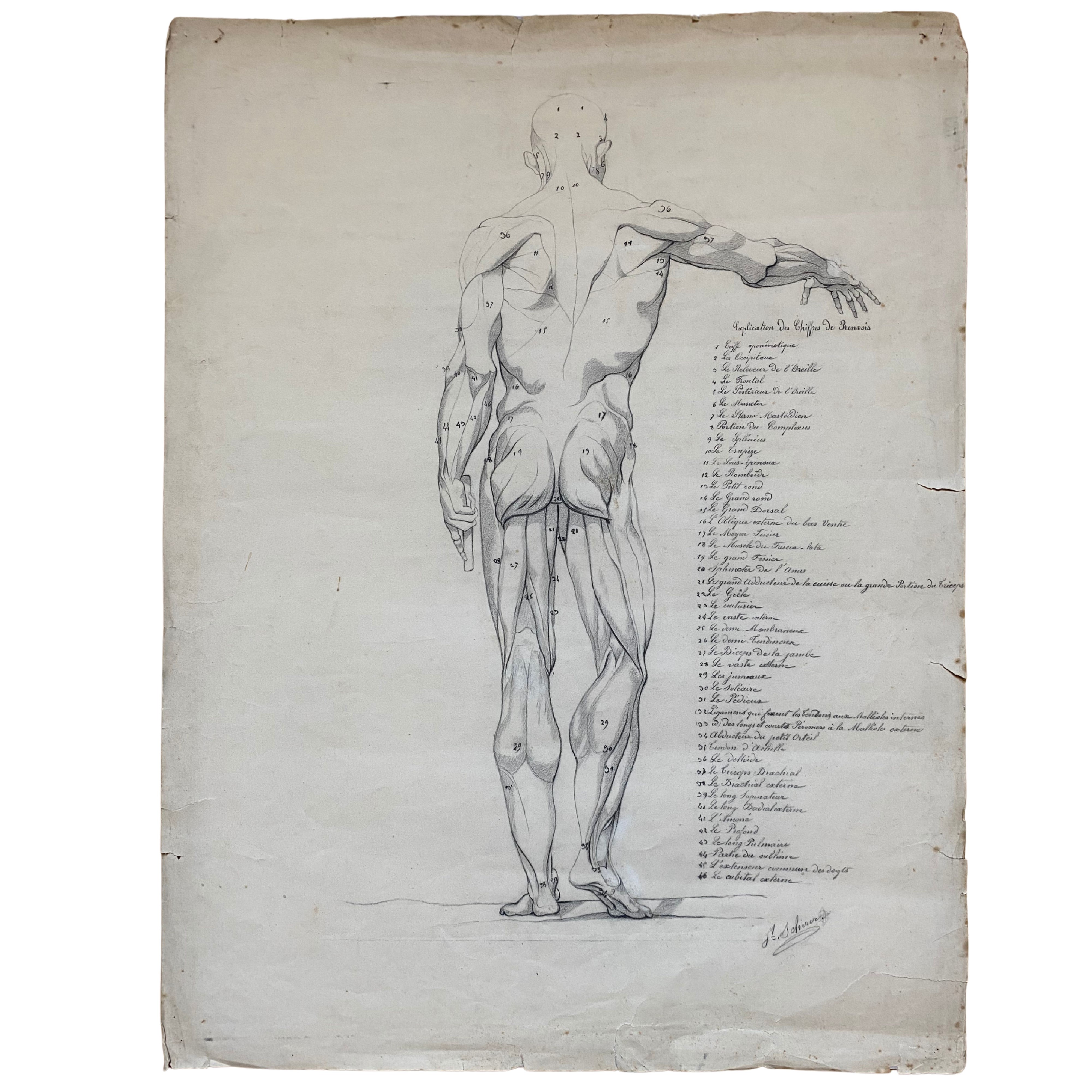 Artista francese del XIX secolo, Scorticati