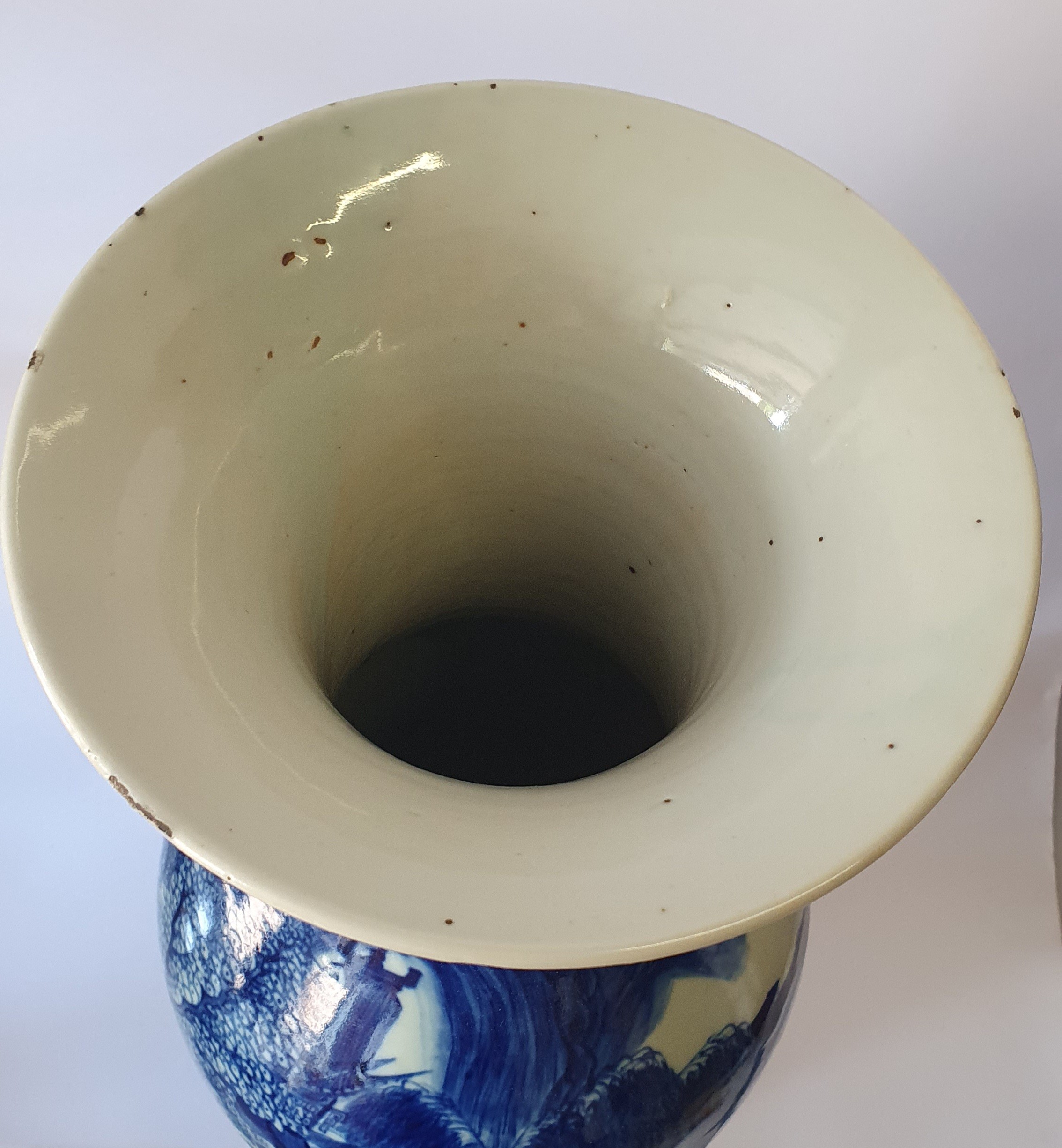 Cina, Grande vaso in porcellana bianca e blu con decoro naturalistico (fine XIX-XX secolo)