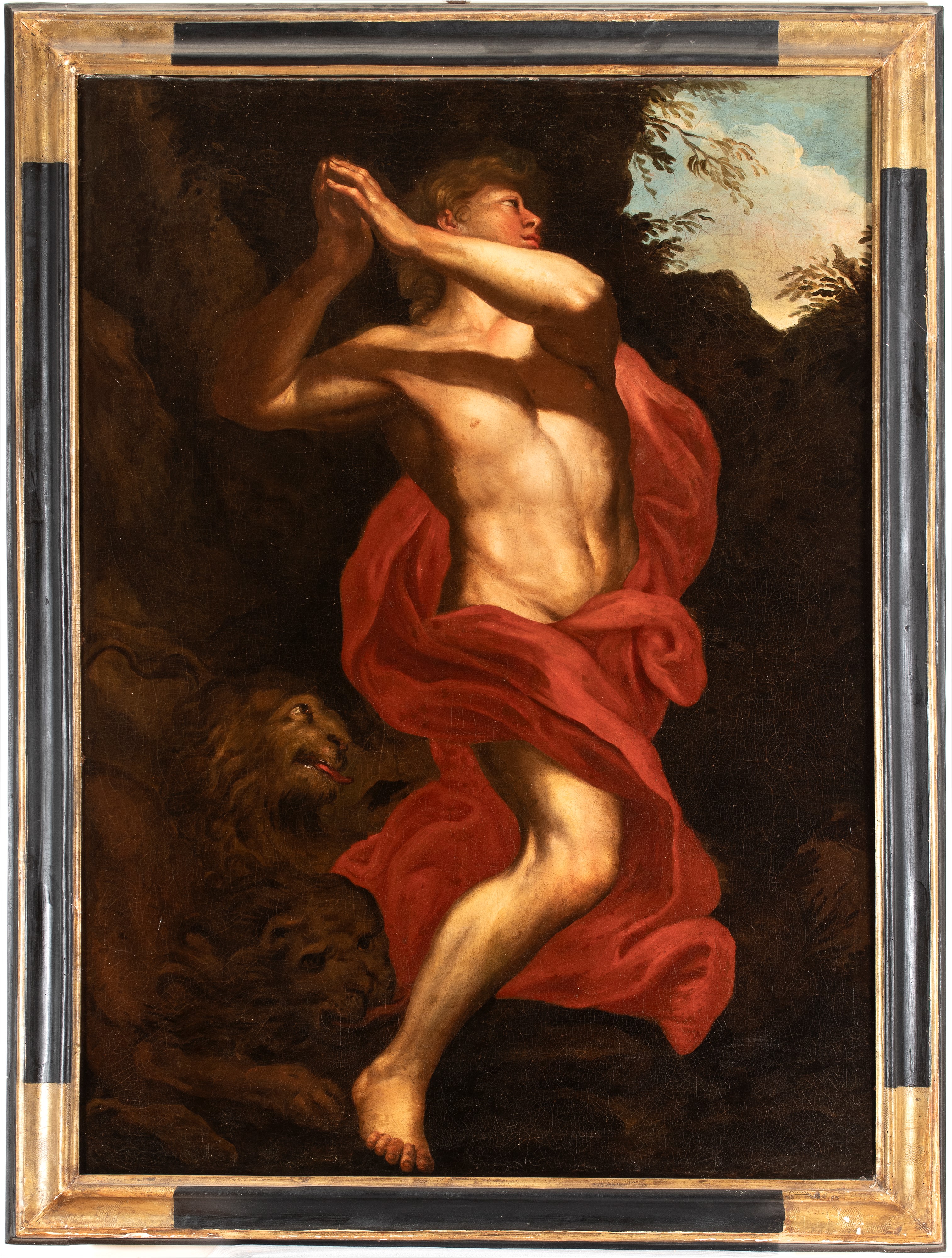 Artista Attivo a Roma, XVII Secolo - Daniele nella fossa dei leoni, olio su tela