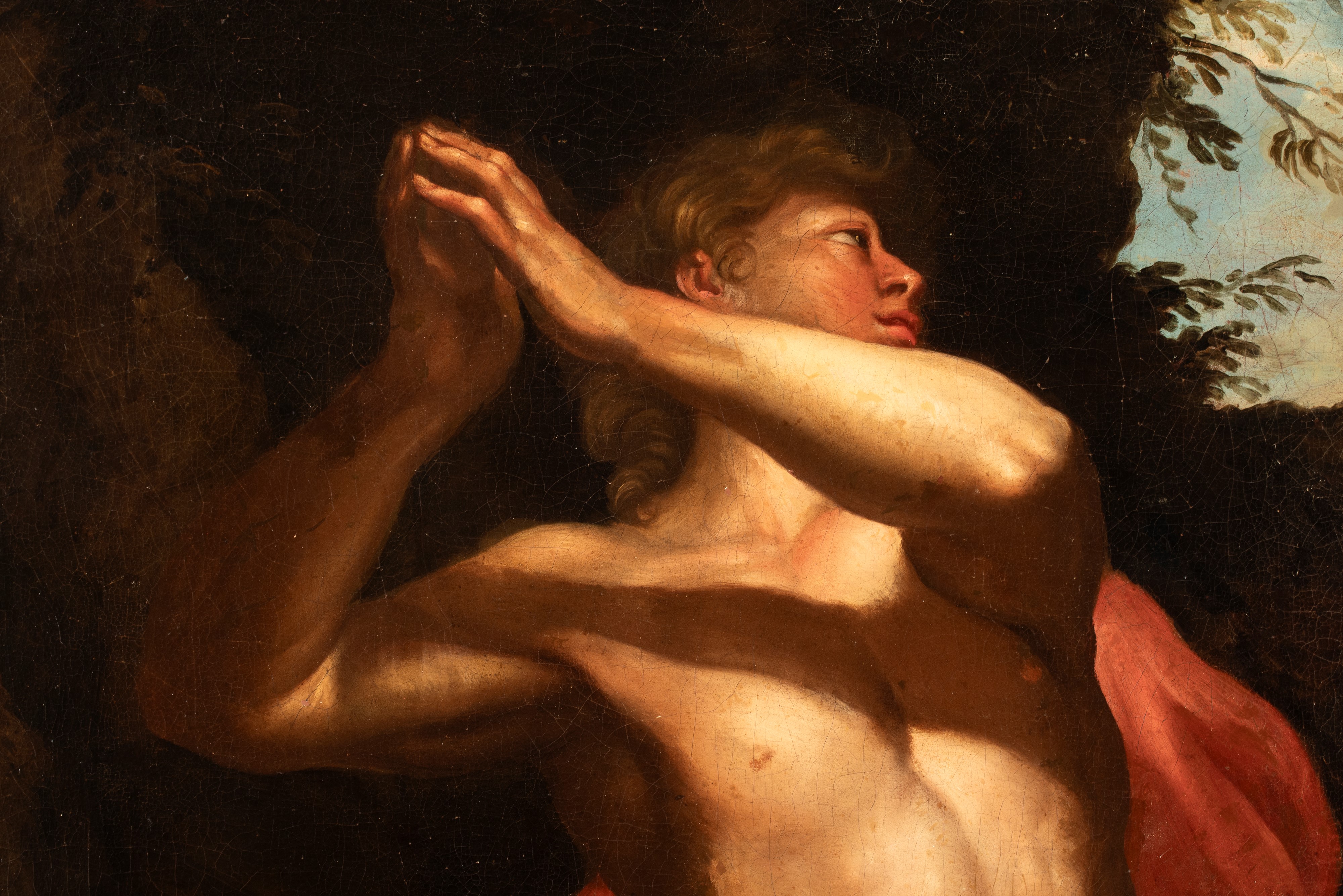 Artista Attivo a Roma, XVII Secolo - Daniele nella fossa dei leoni, olio su tela