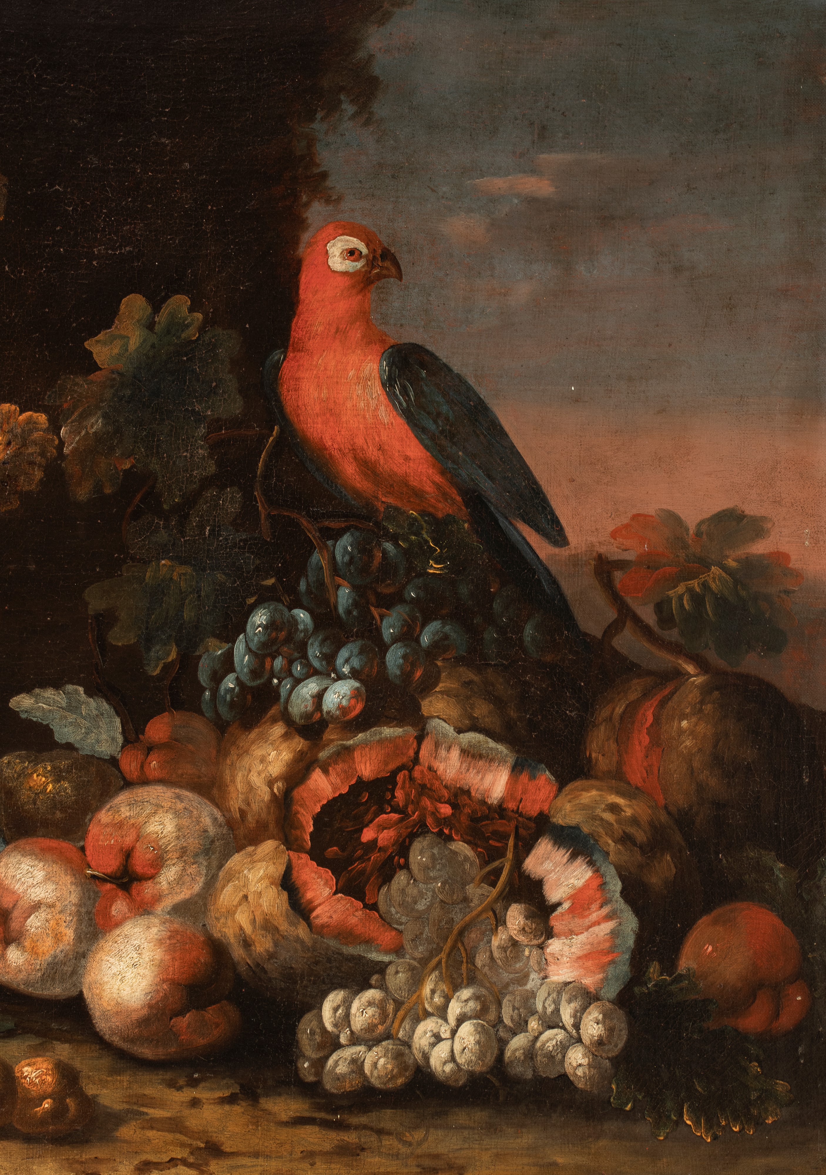 Aniello Ascione - Frutta e vaso di fiori in un paesaggio con pappagallo