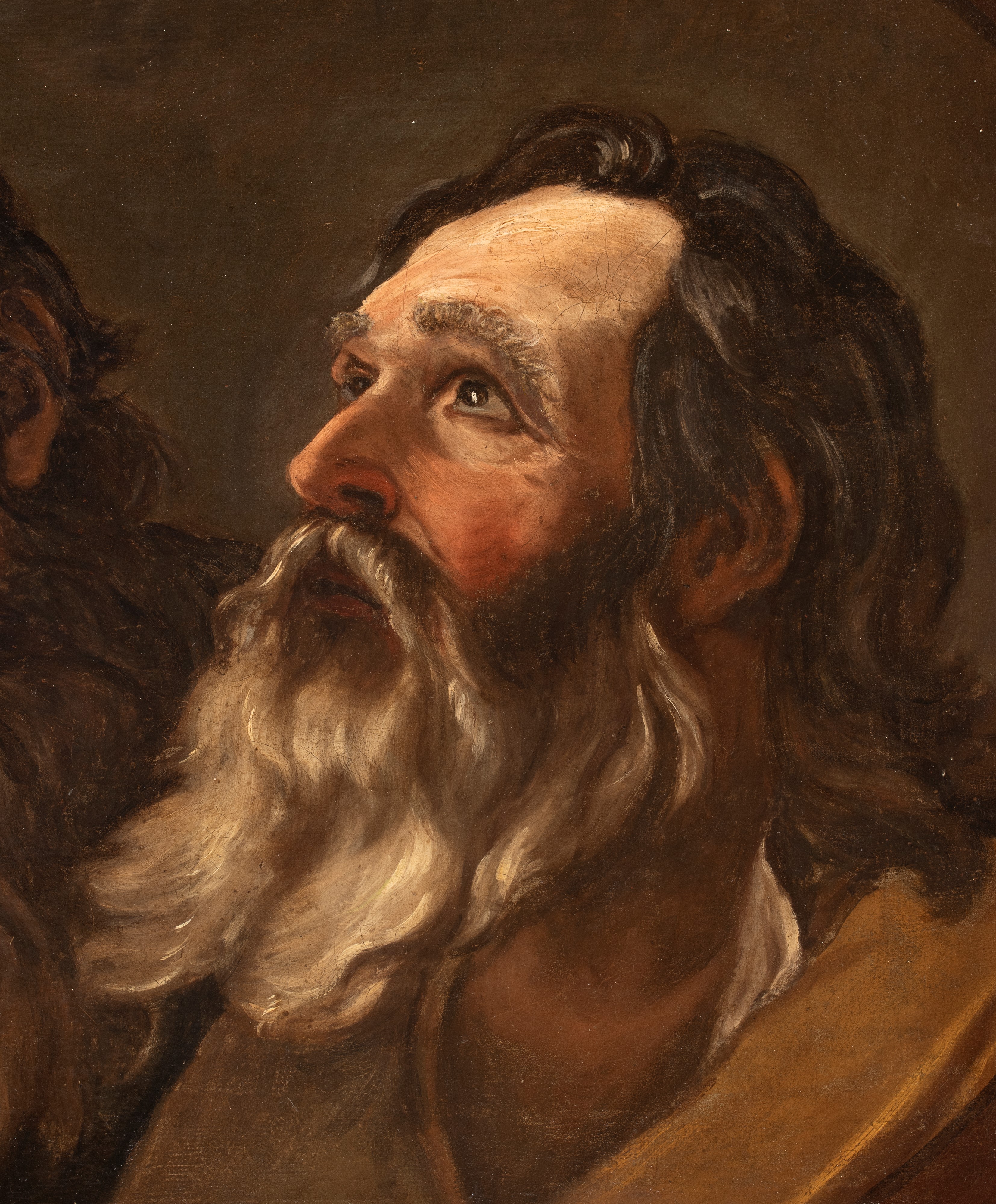Artista Emiliano, Seconda Metà XVIII Secolo - Due teste barbute, olio su tela