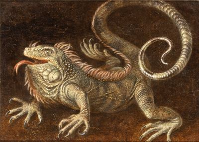 Iguana, olio su tela