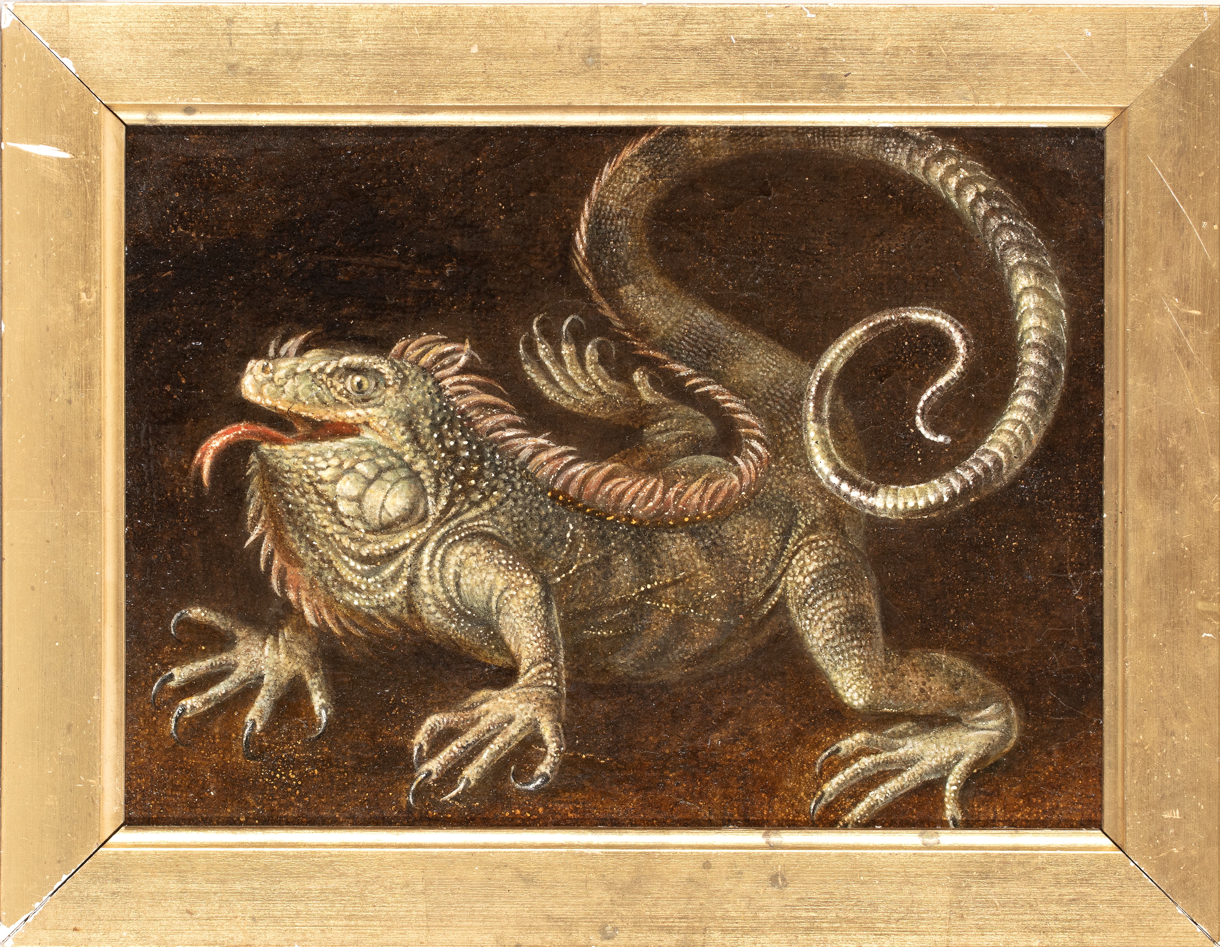 Artista Nord-europeo, XIX Secolo - Iguana, olio su tela