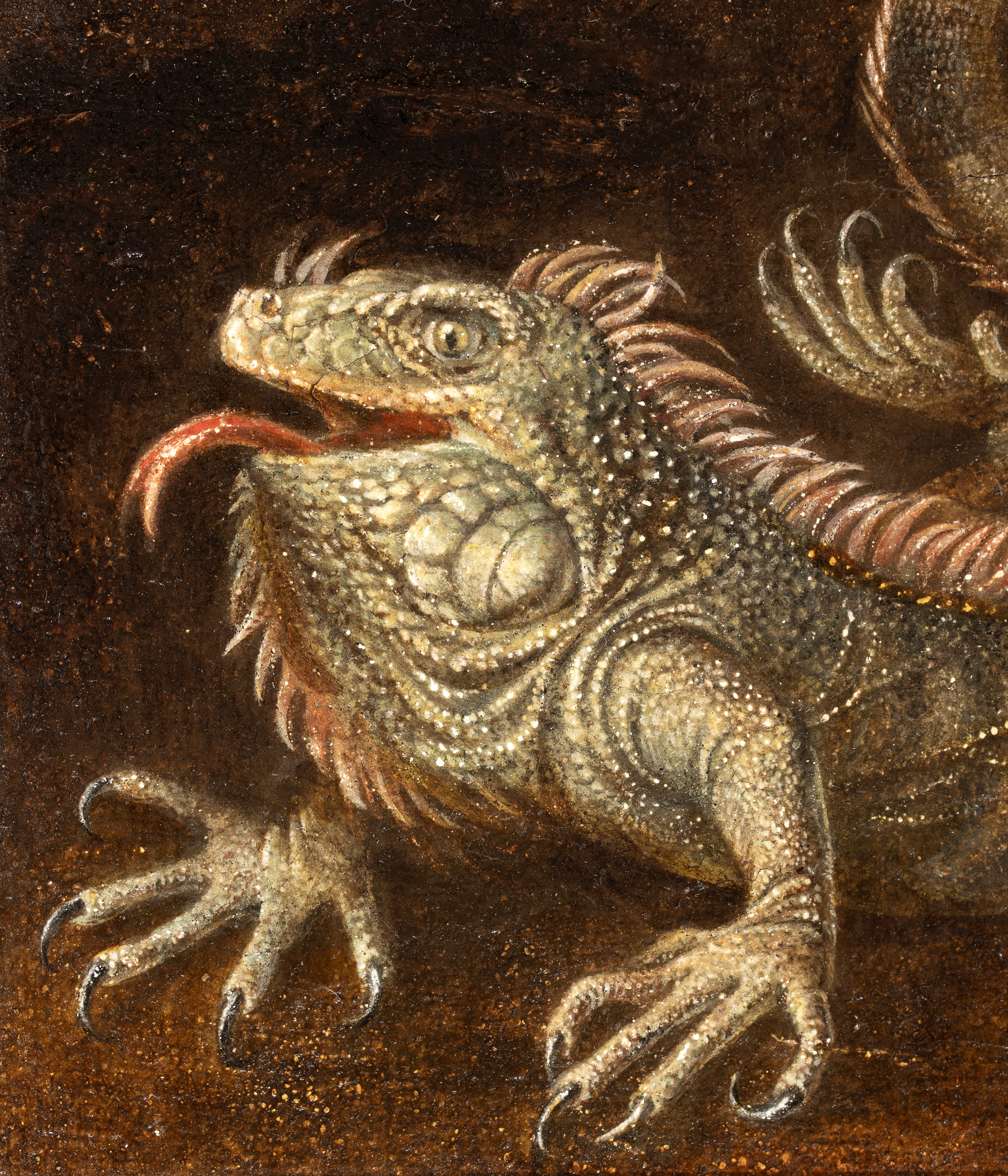 Artista Nord-europeo, XIX Secolo - Iguana, olio su tela
