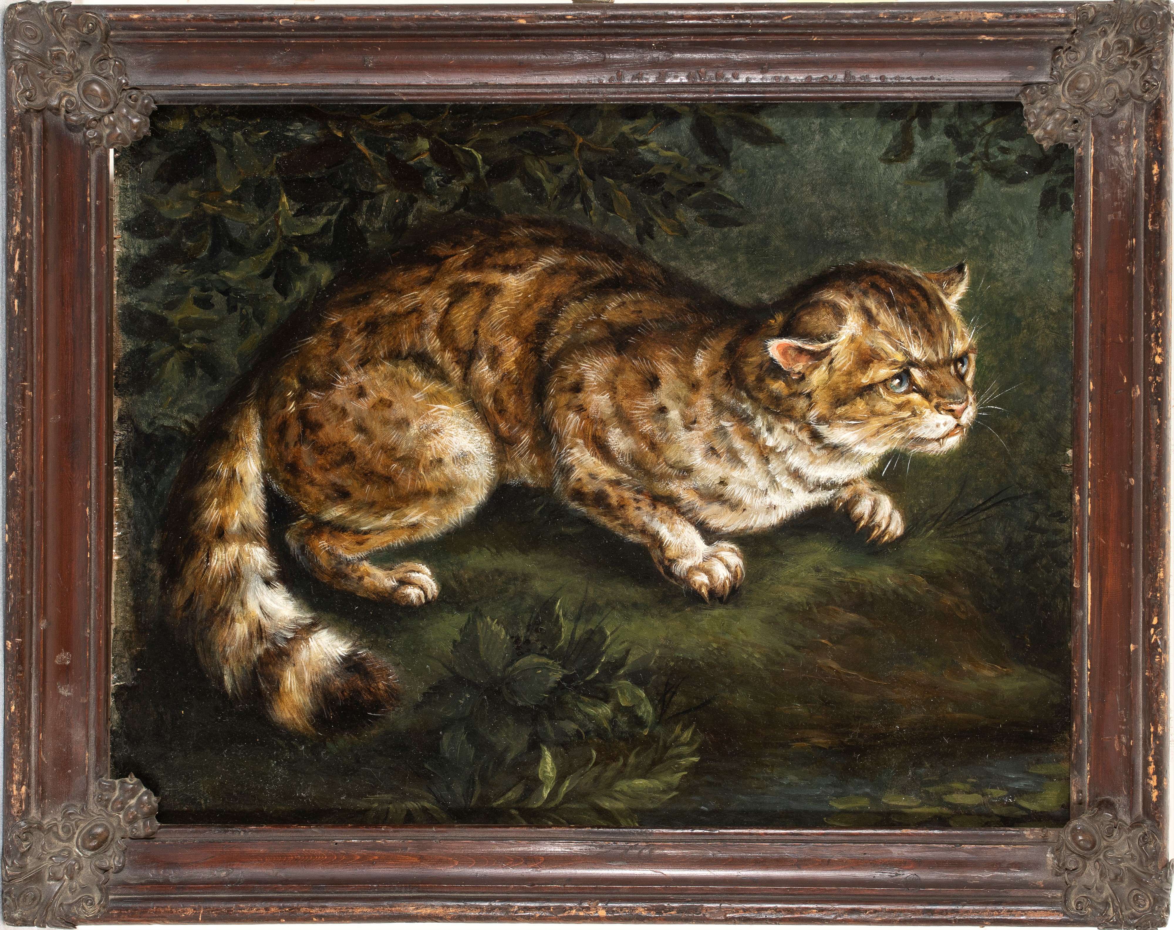 Henriëtte Ronner-knip - Gatto selvatico (olio su tavola)