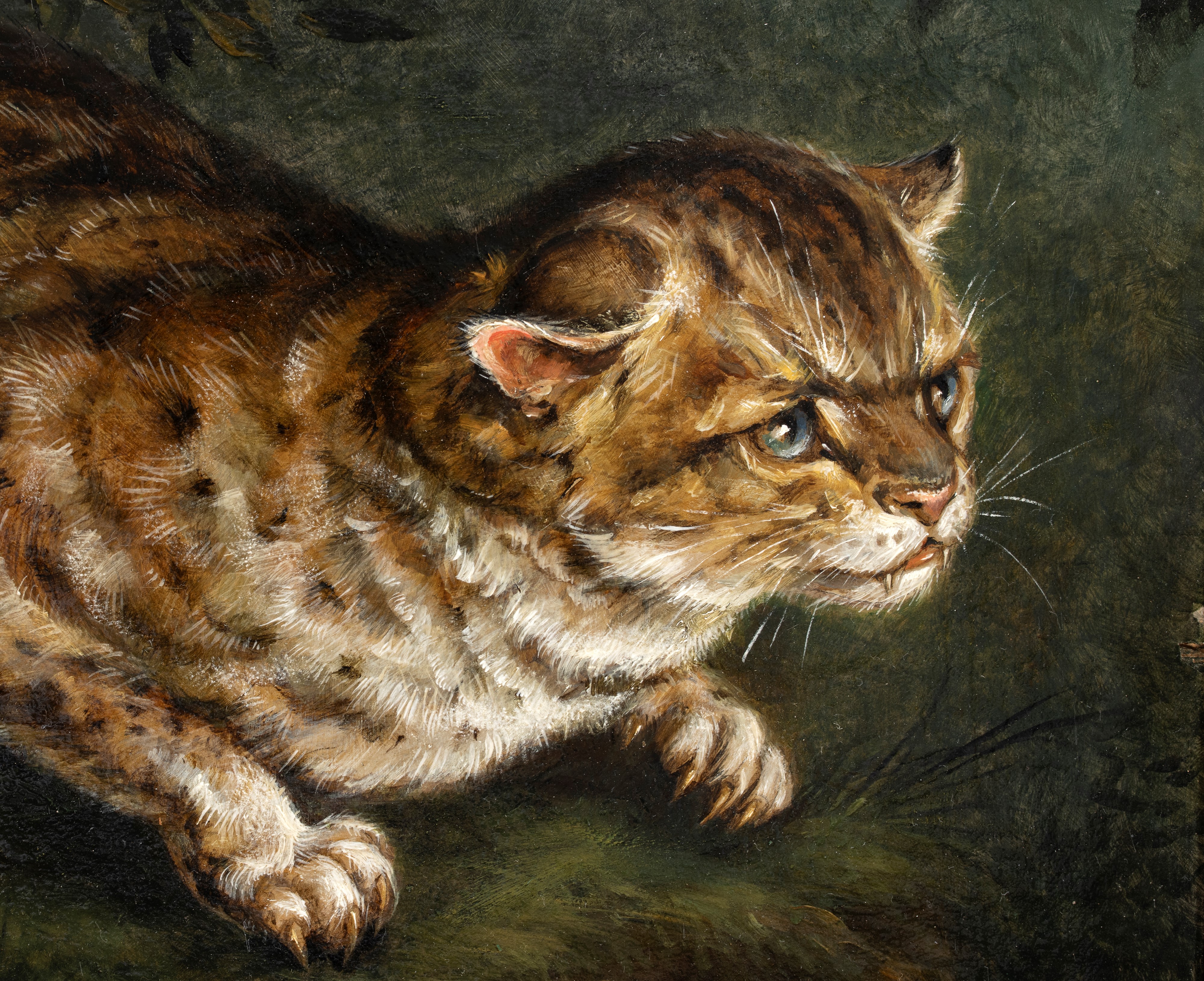 Henriëtte Ronner-knip - Gatto selvatico (olio su tavola)