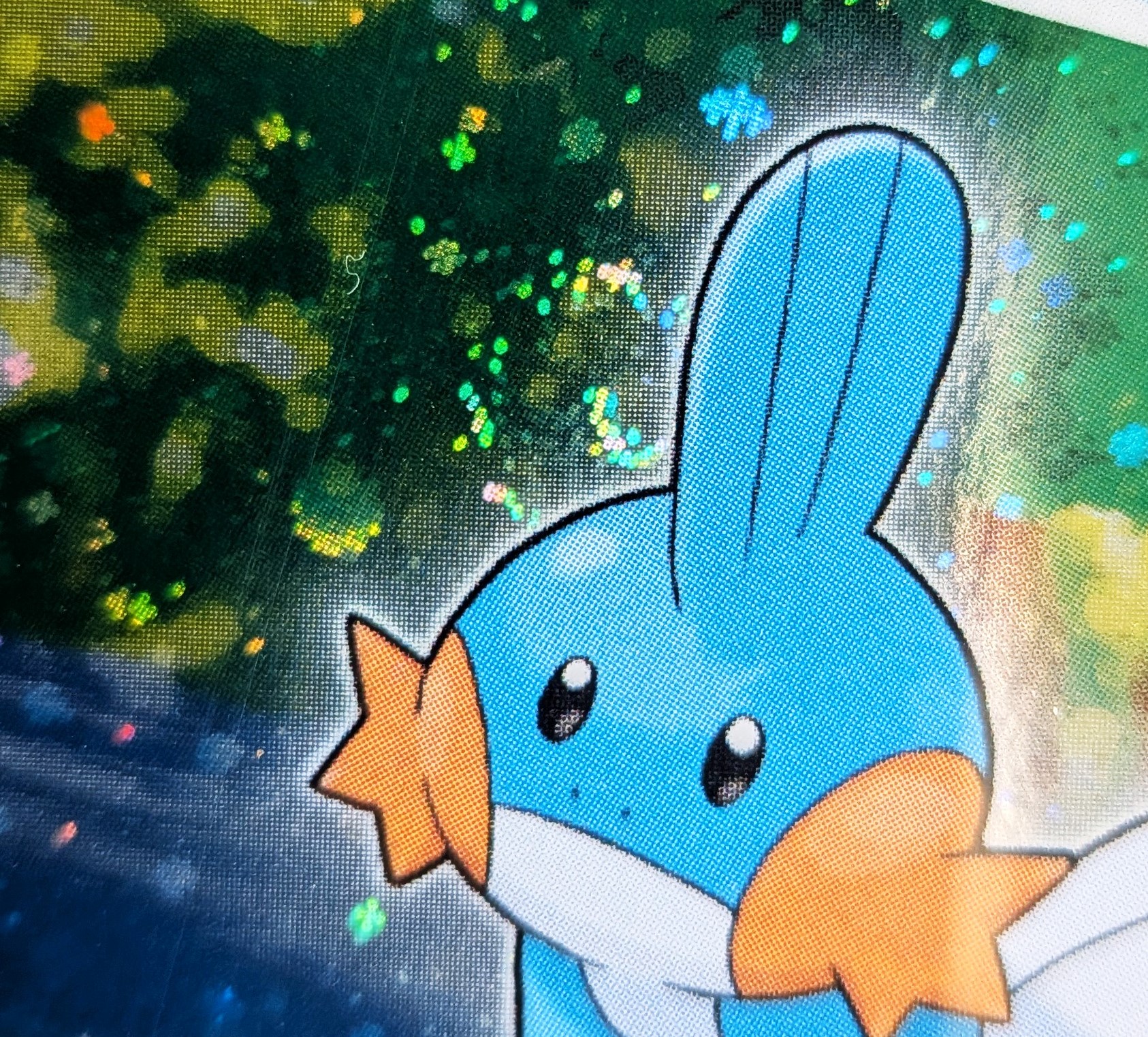 The Pokémon Company - Mudkip #5 Holo (swirl) Poké Ball, Nintendo Black Star Promos [ita]