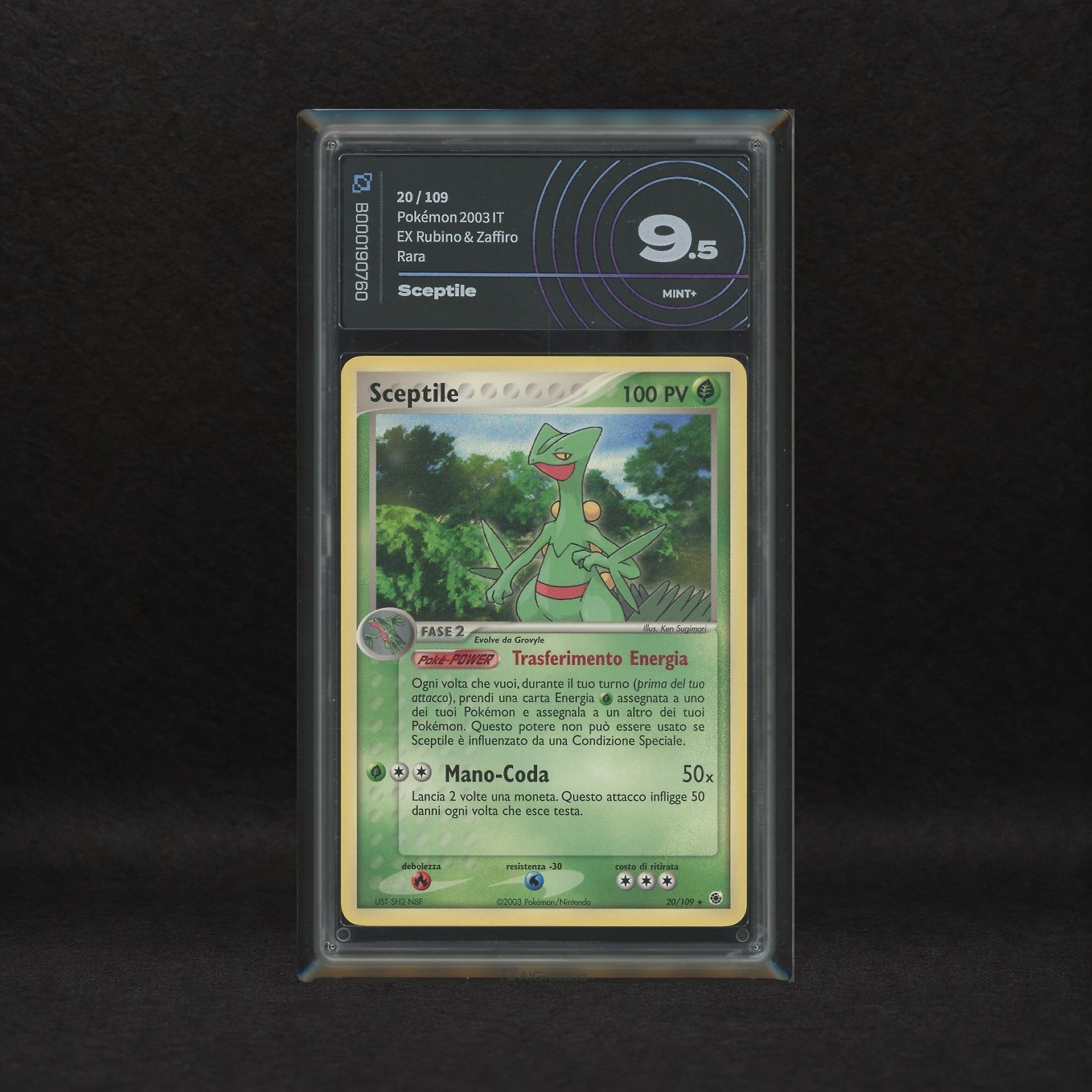 The Pokémon Company - Lotto Starter Hoenn: Blaziken #15, Sceptile #20 & Swampert #23, Ex Rubino e...