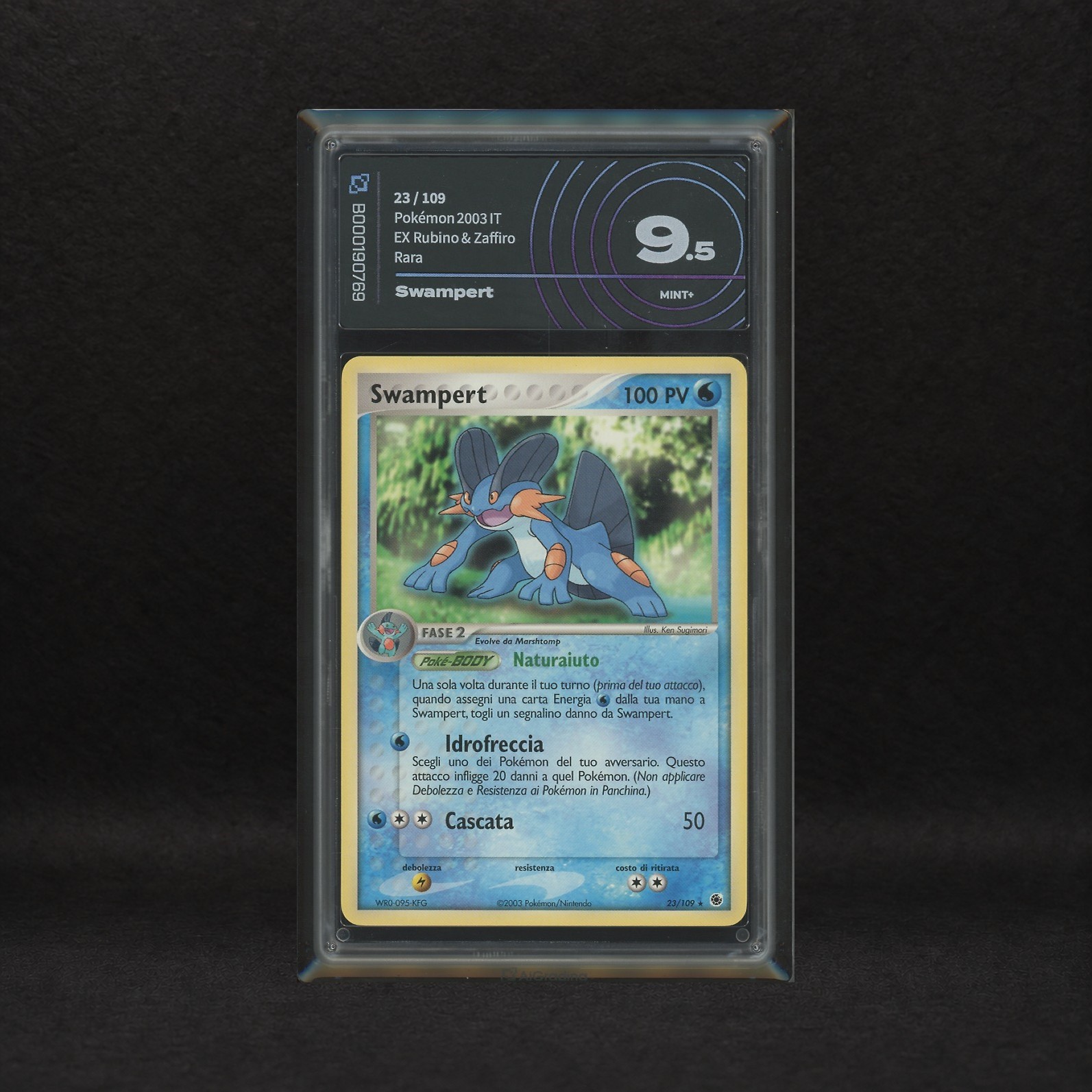 The Pokémon Company - Lotto Starter Hoenn: Blaziken #15, Sceptile #20 & Swampert #23, Ex Rubino e...