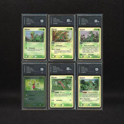 Lotto Starter Hoenn Reverse Holo: Treecko #75-76, Grovyle #31-32, Sceptile #11-20, Ex Rubino e Za...