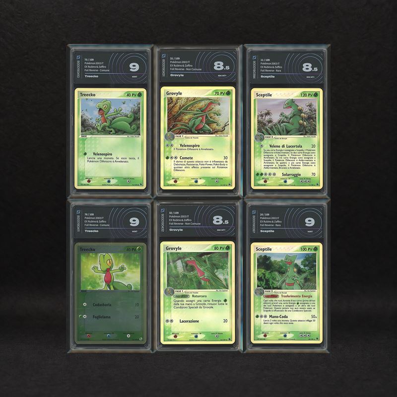 The Pokémon Company - Lotto Starter Hoenn Reverse Holo: Treecko #75-76, Grovyle #31-32, Sceptile ...