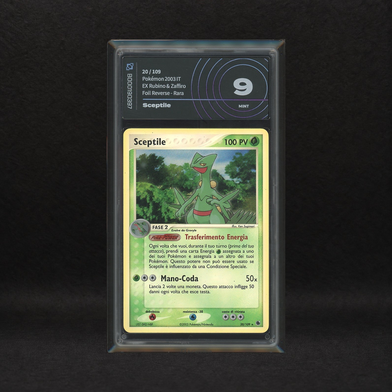 The Pokémon Company - Lotto Starter Hoenn Reverse Holo: Treecko #75-76, Grovyle #31-32, Sceptile ...