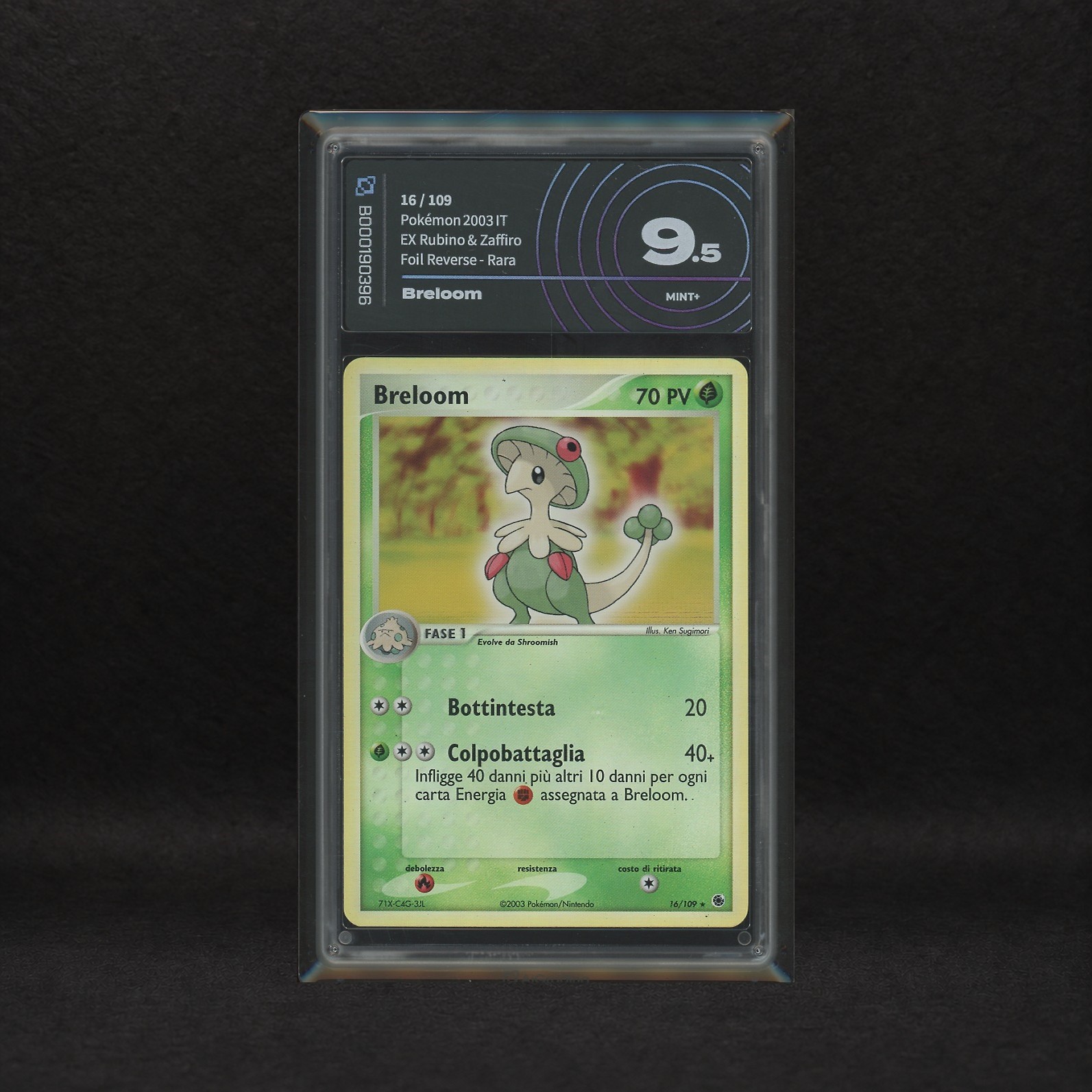 The Pokémon Company - Lotto Erba Hoenn Reverse Holo: Shroomish #69, Breoloom #16, Ex Rubino e Zaf...