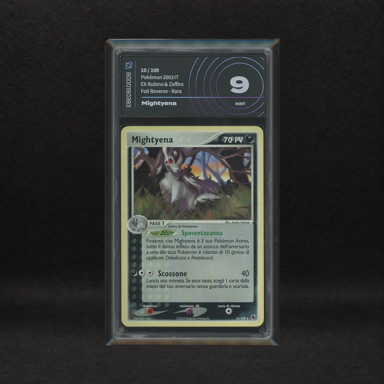 The Pokémon Company - Lotto Buio Hoenn Reverse Holo: Poochyena #65, Mightyena #10, Ex Rubino e Za...