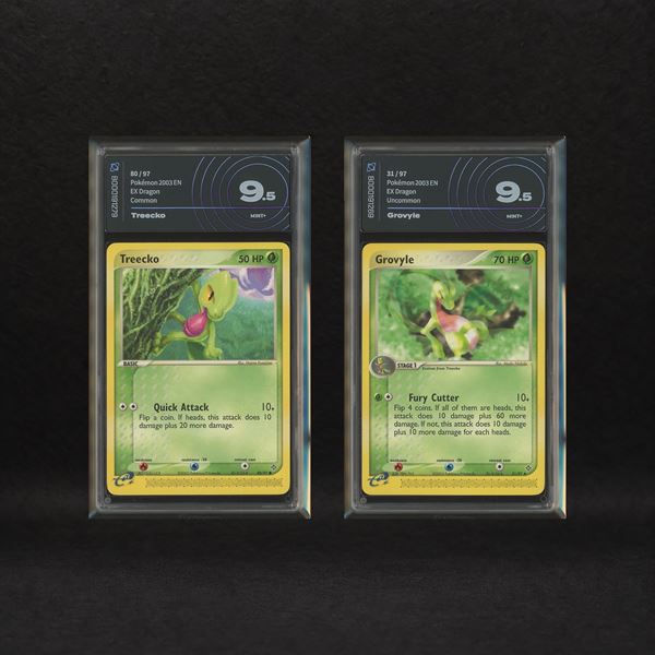 The Pokémon Company - Grass Starter Hoenn Lot: Treecko #80, Grovyle #31, EX Dragon [ENG]