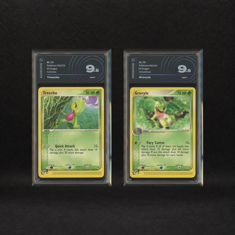 The Pokémon Company - Grass Starter Hoenn Lot: Treecko #80, Grovyle #31, Ex Dragon [eng]